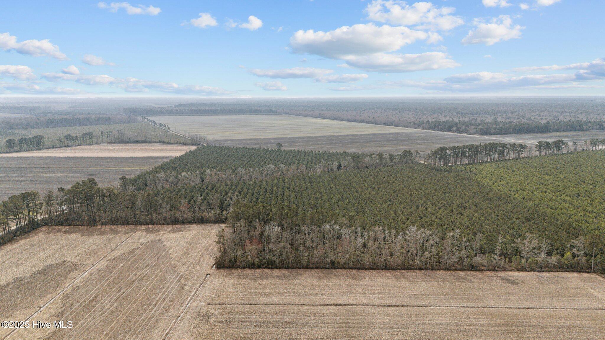 0 Neals Creek Road Property Photo 16