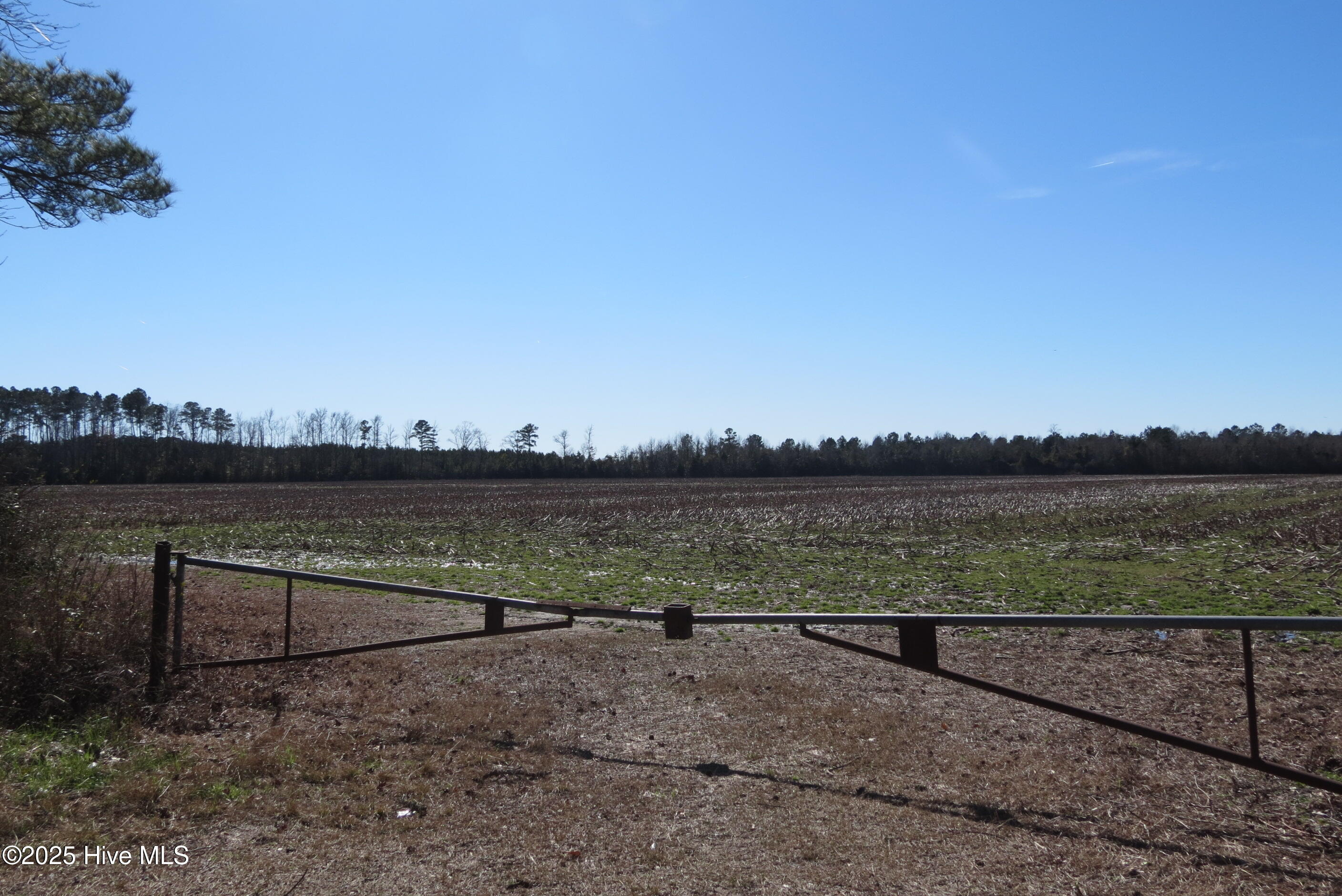 0 Neals Creek Road Property Photo 18