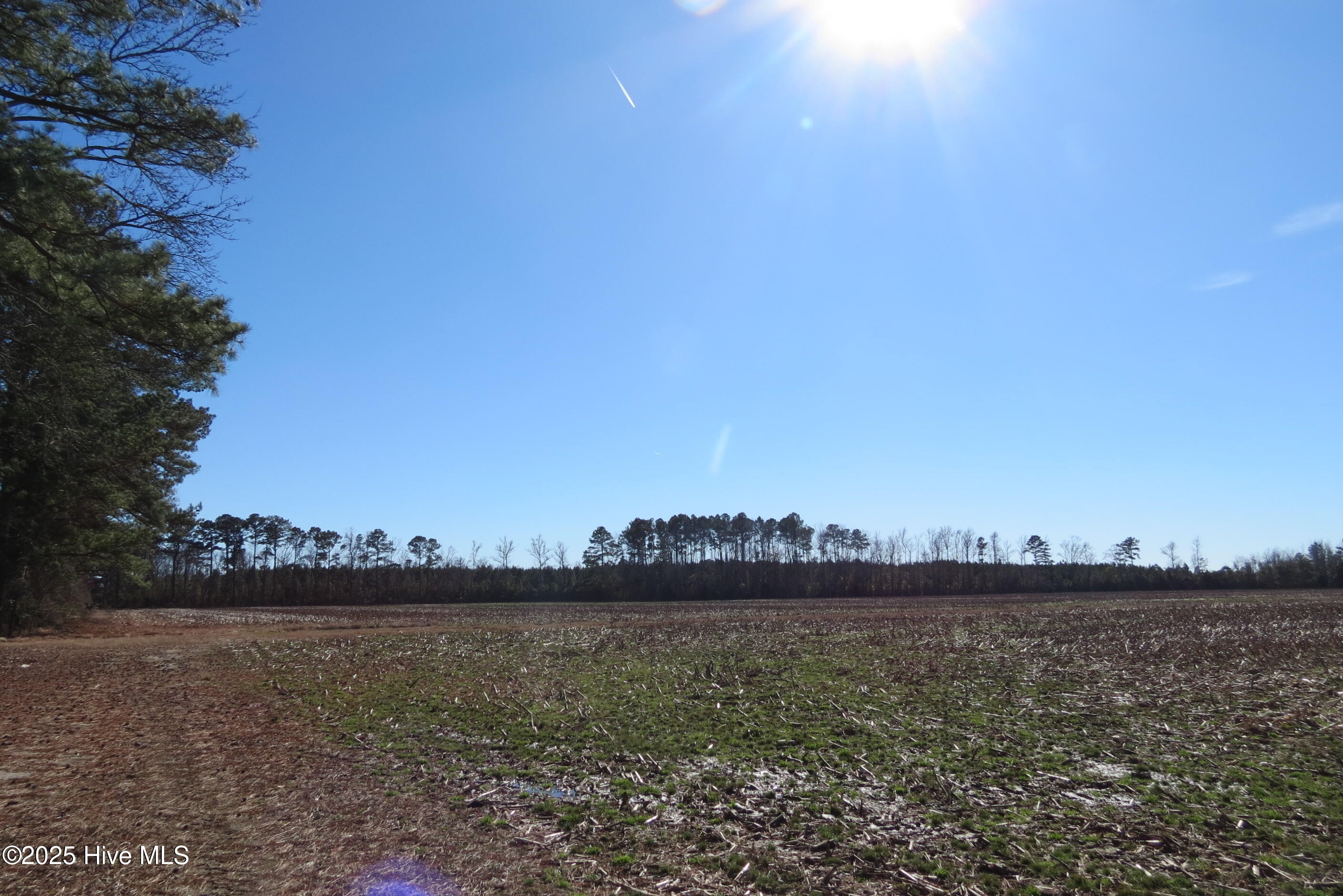 0 Neals Creek Road Property Photo 22
