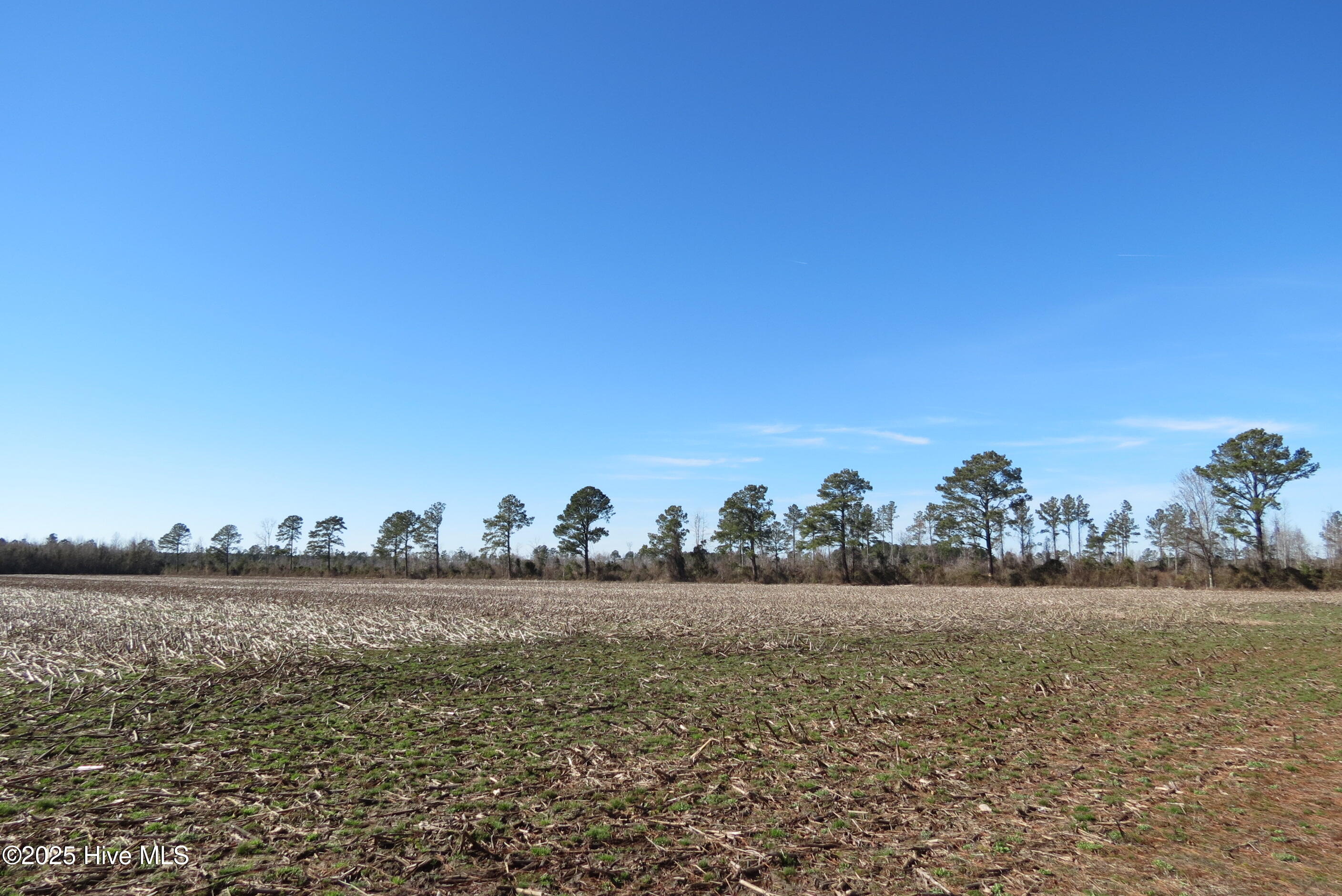 0 Neals Creek Road Property Photo 23