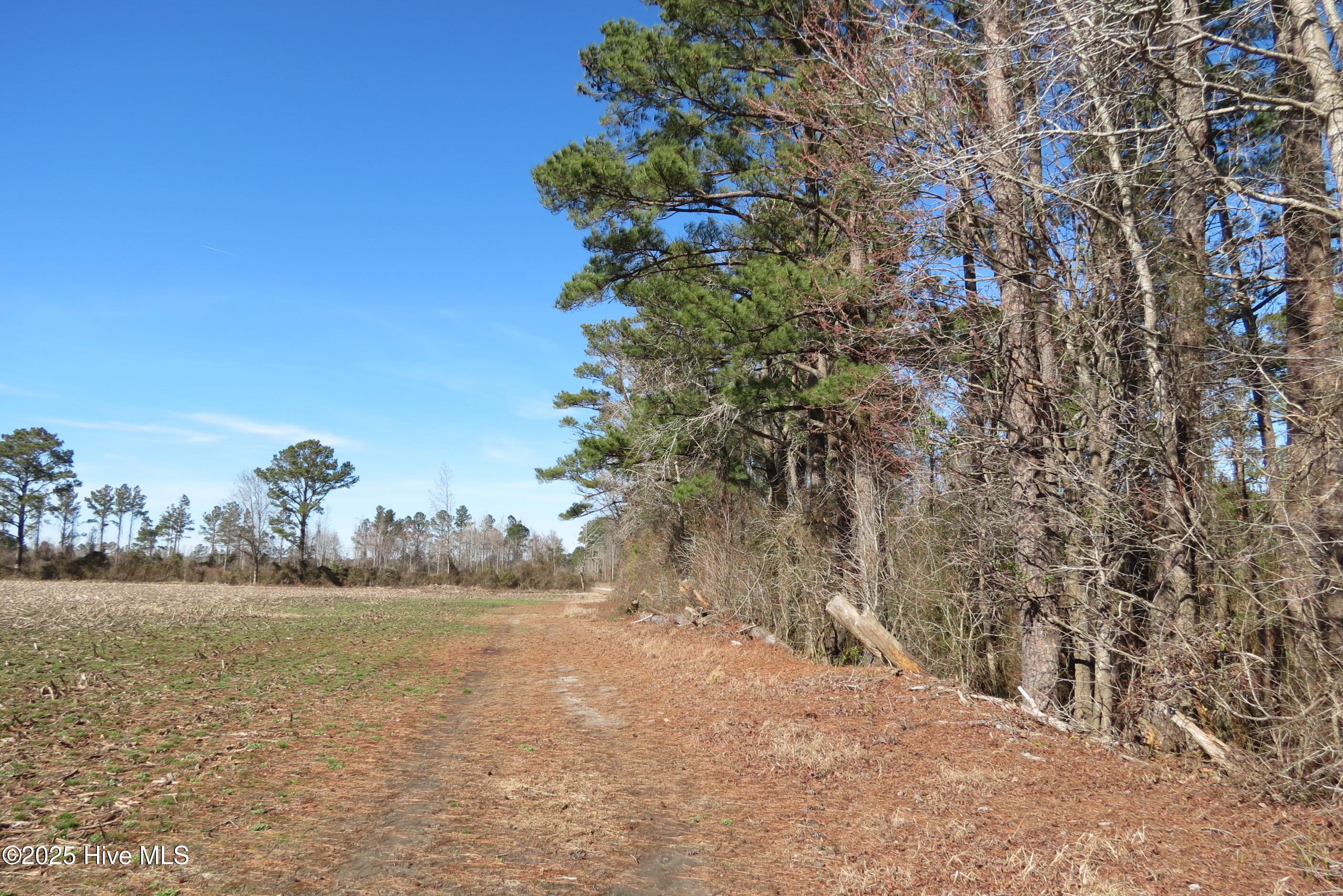 0 Neals Creek Road Property Photo 24