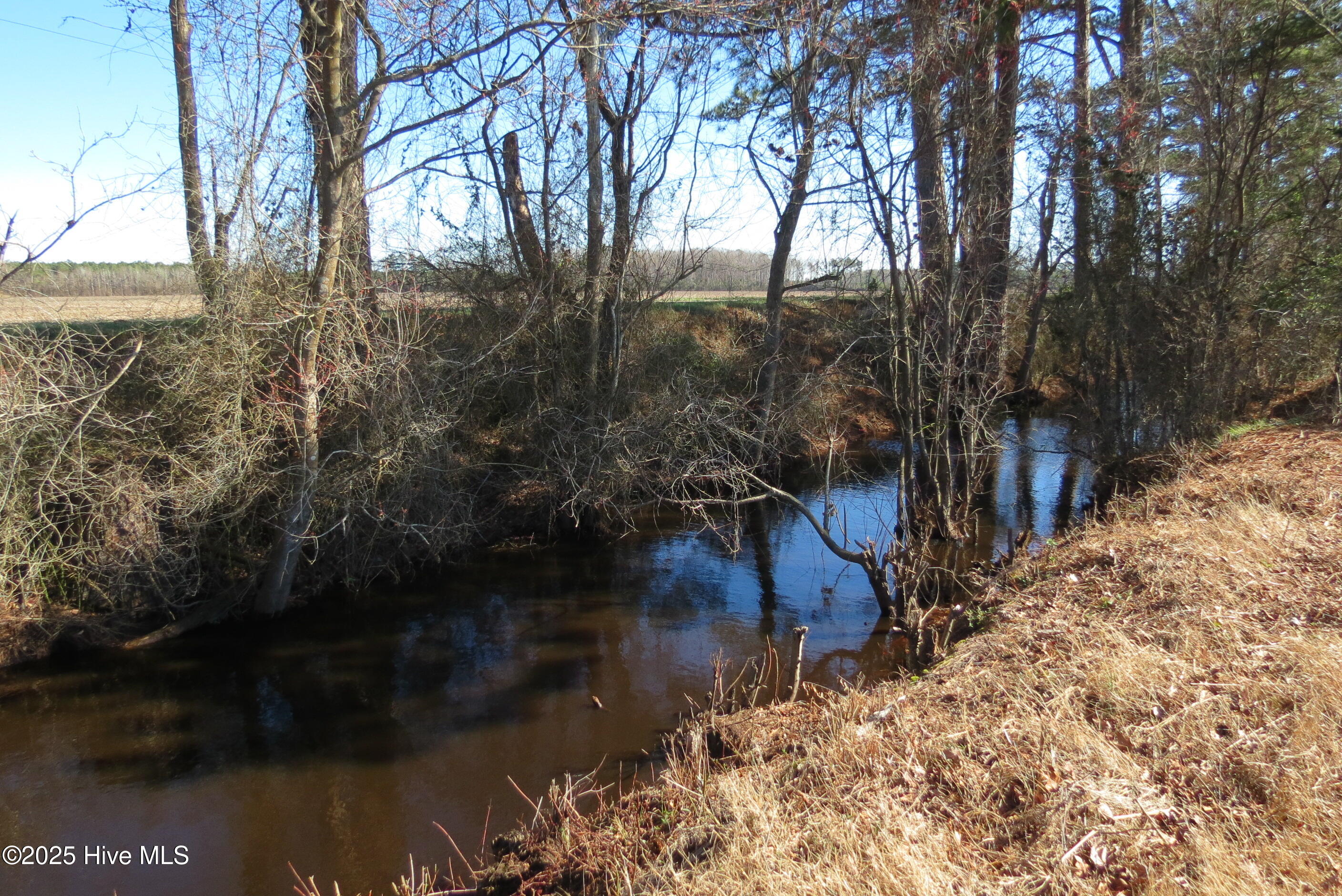0 Neals Creek Road Property Photo 25