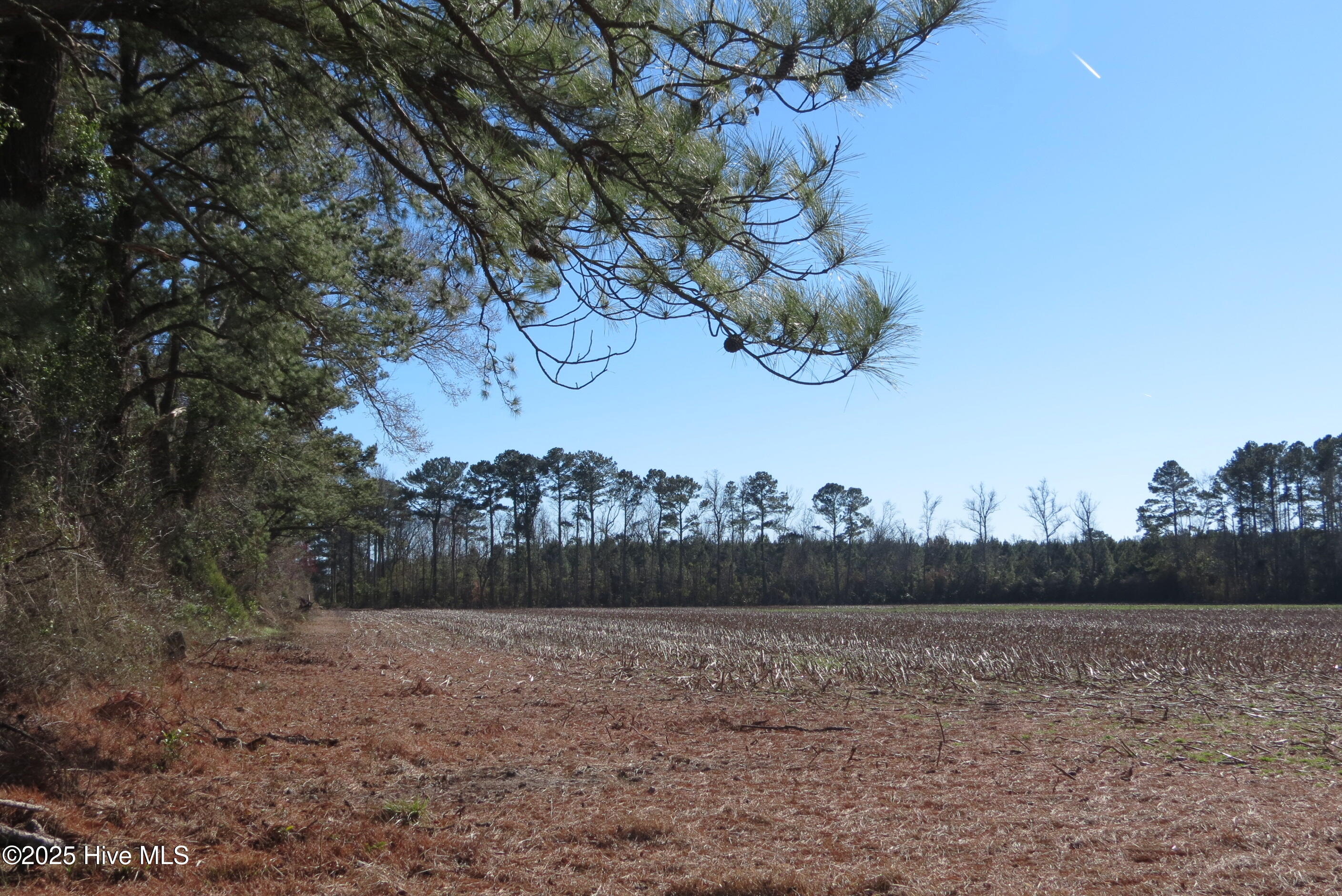 0 Neals Creek Road Property Photo 27