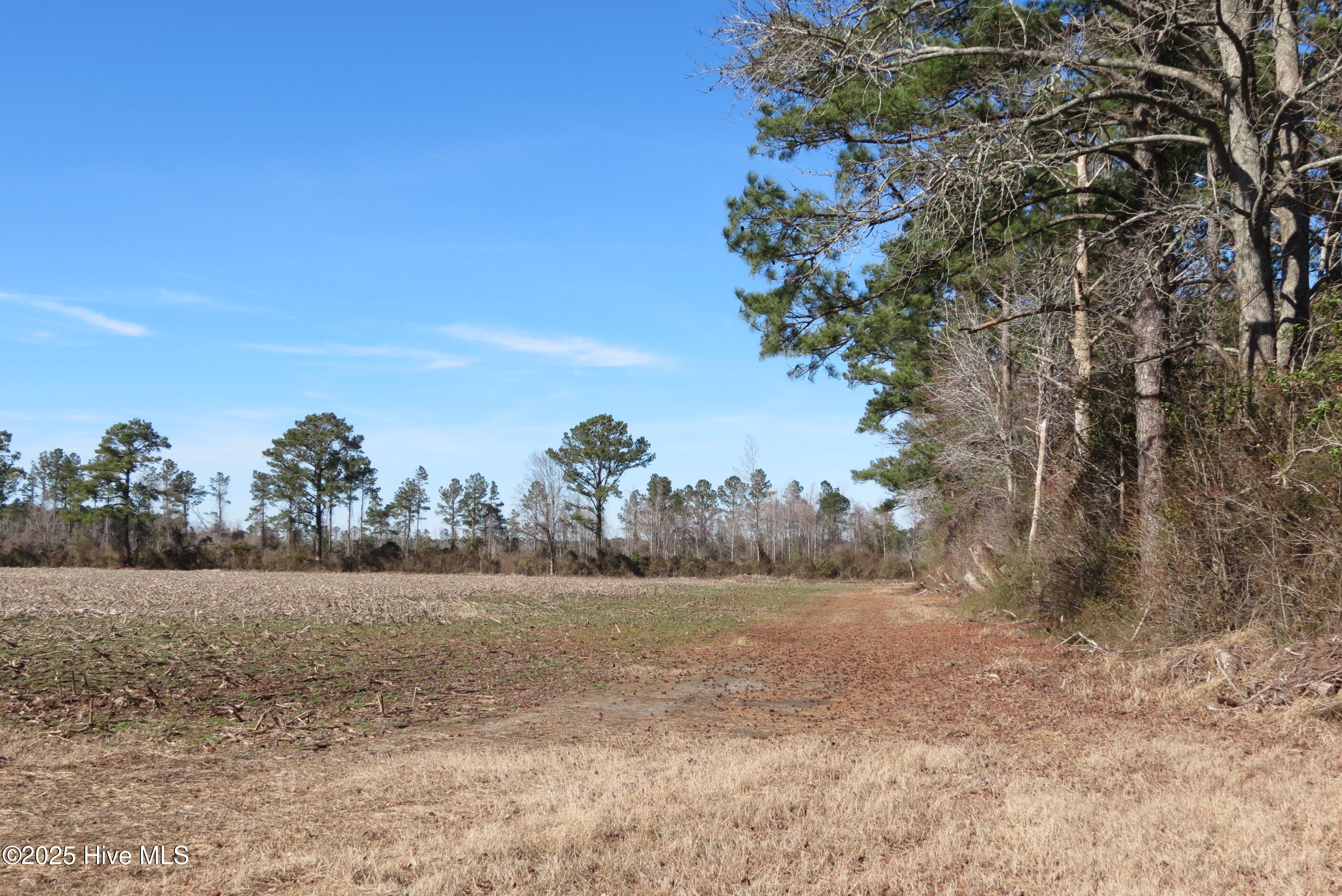 0 Neals Creek Road Property Photo 28