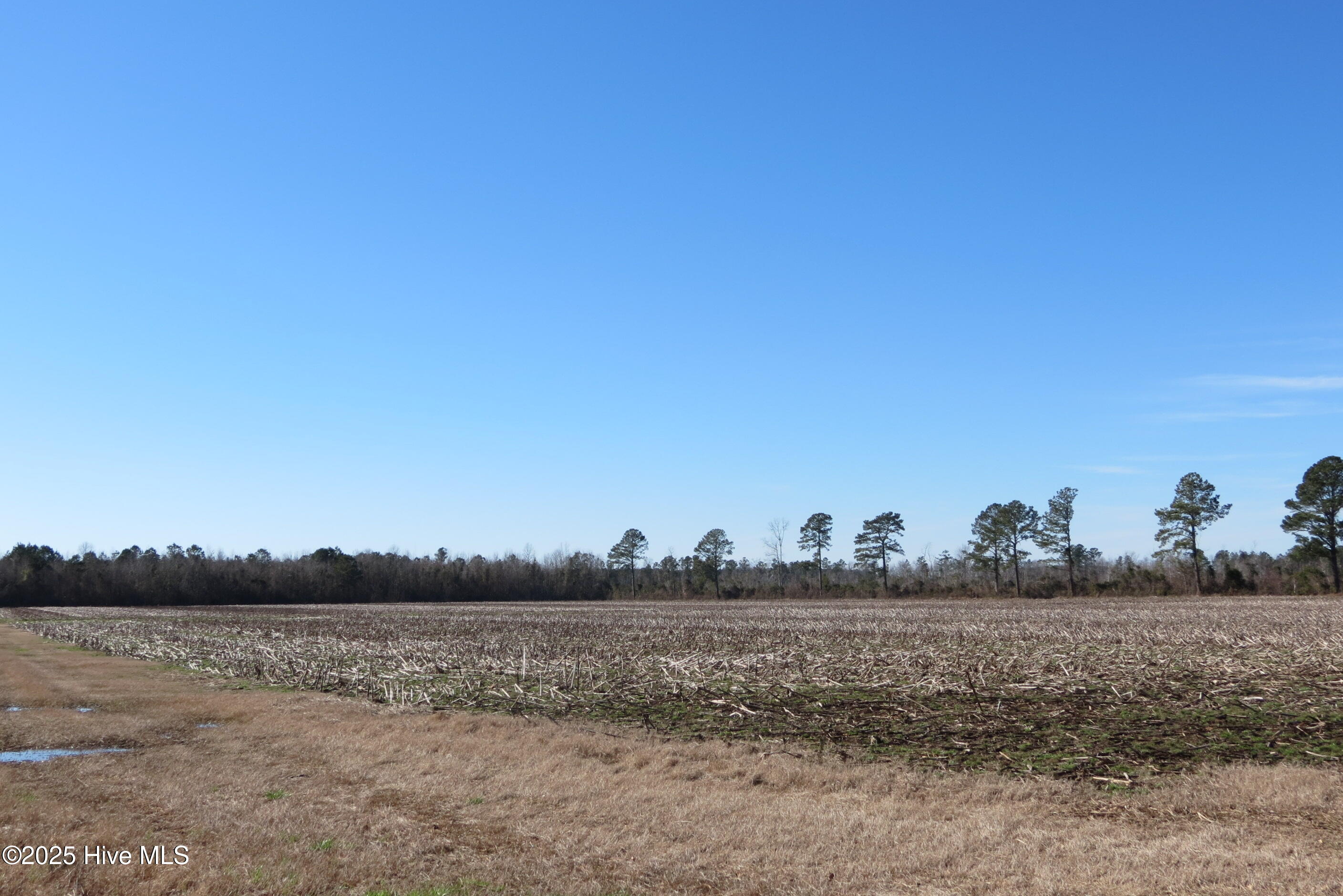 0 Neals Creek Road Property Photo 29