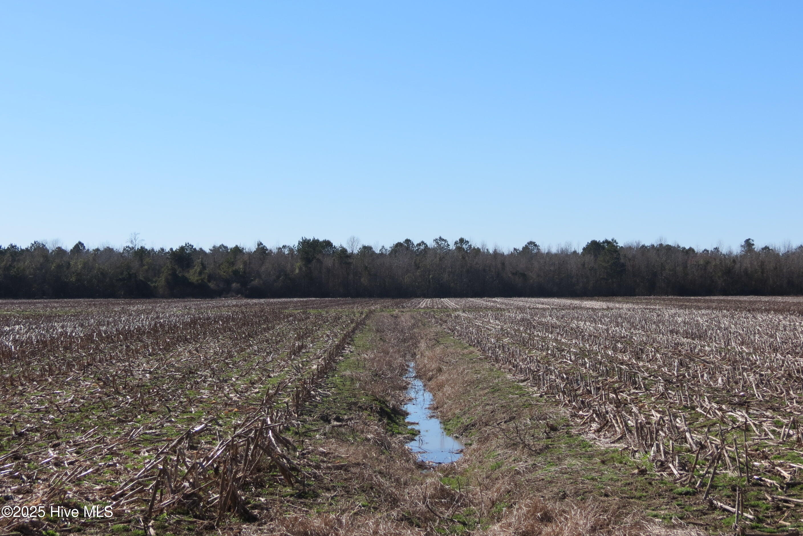 0 Neals Creek Road Property Photo 30