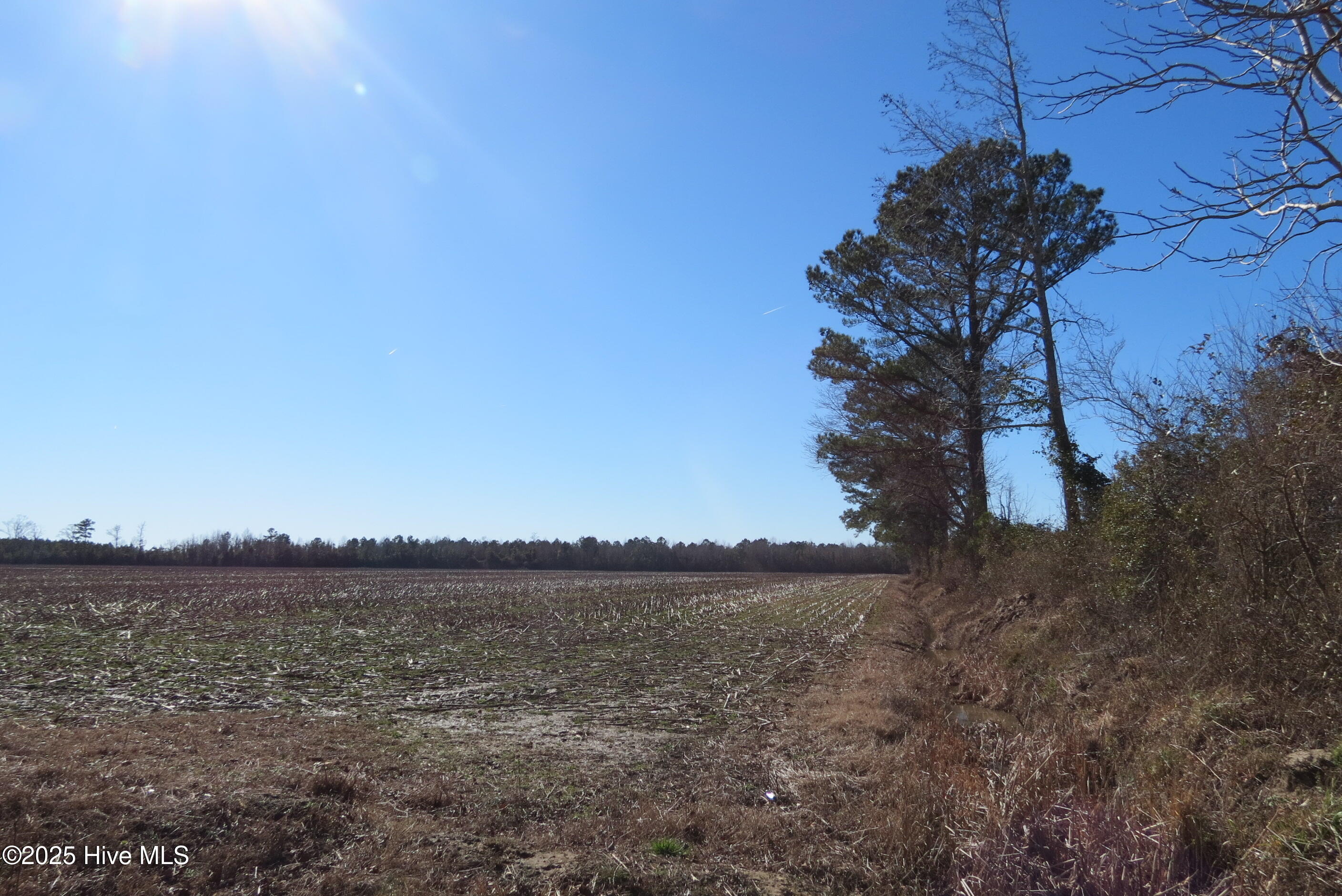 0 Neals Creek Road Property Photo 31
