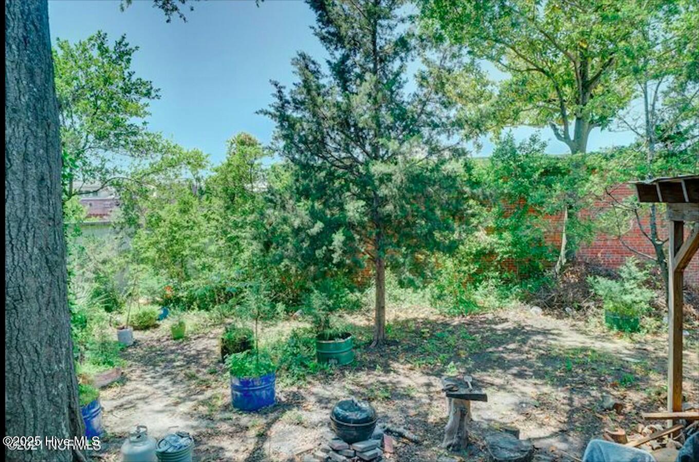 1506 S 3rd Street Property Photo 34