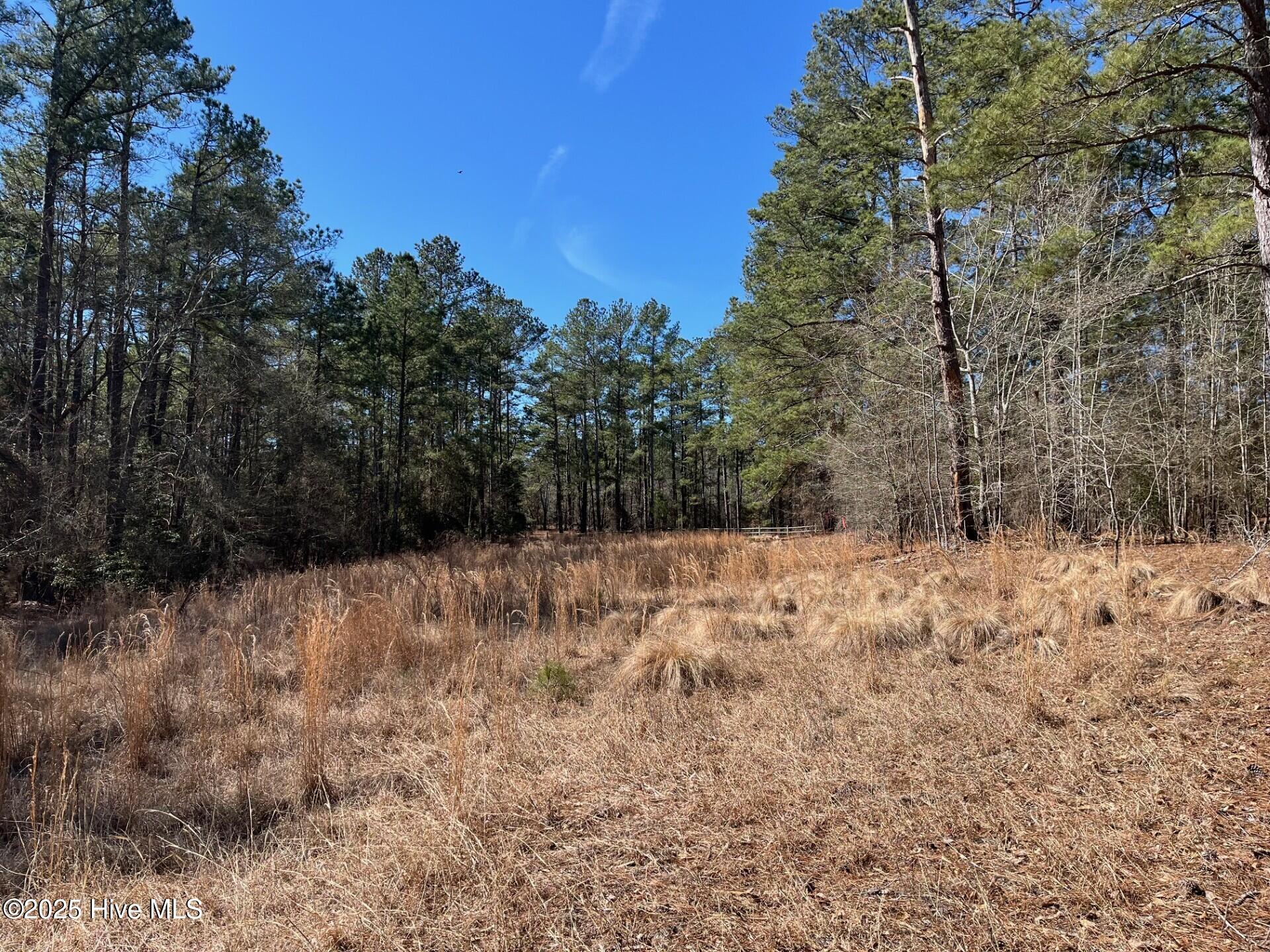 449 Mckenzies Mill Road Property Photo 2
