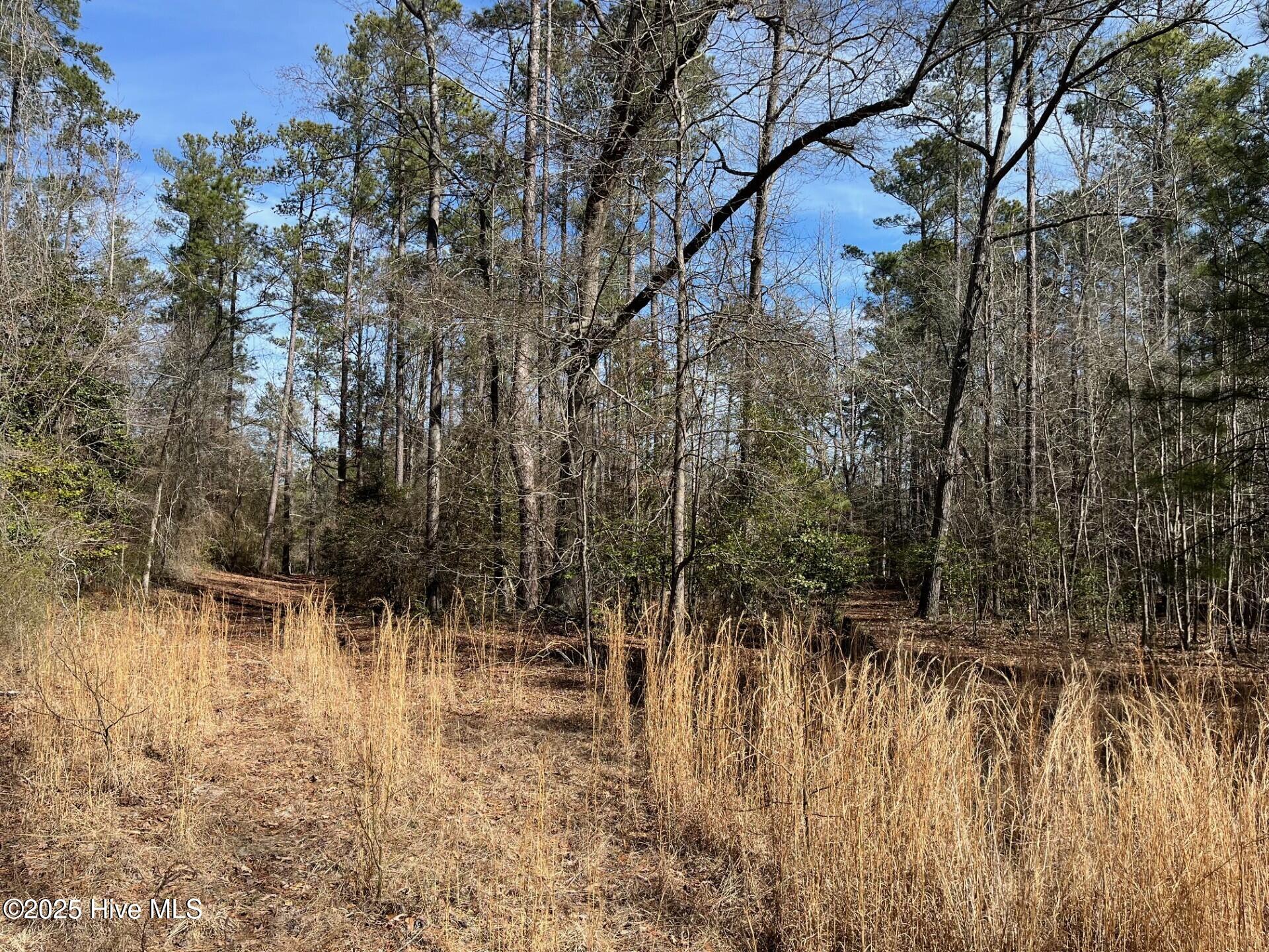 449 Mckenzies Mill Road Property Photo 3