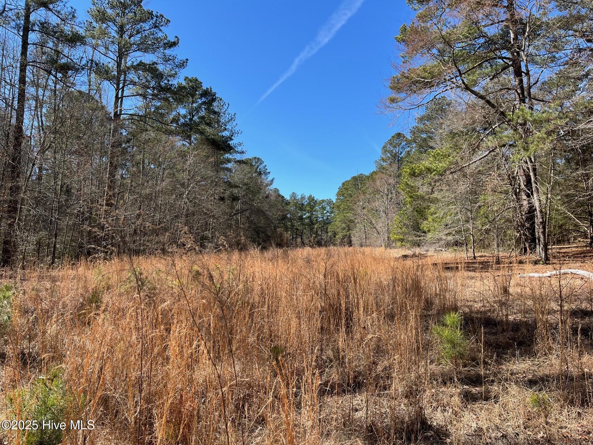 449 Mckenzies Mill Road Property Photo 4