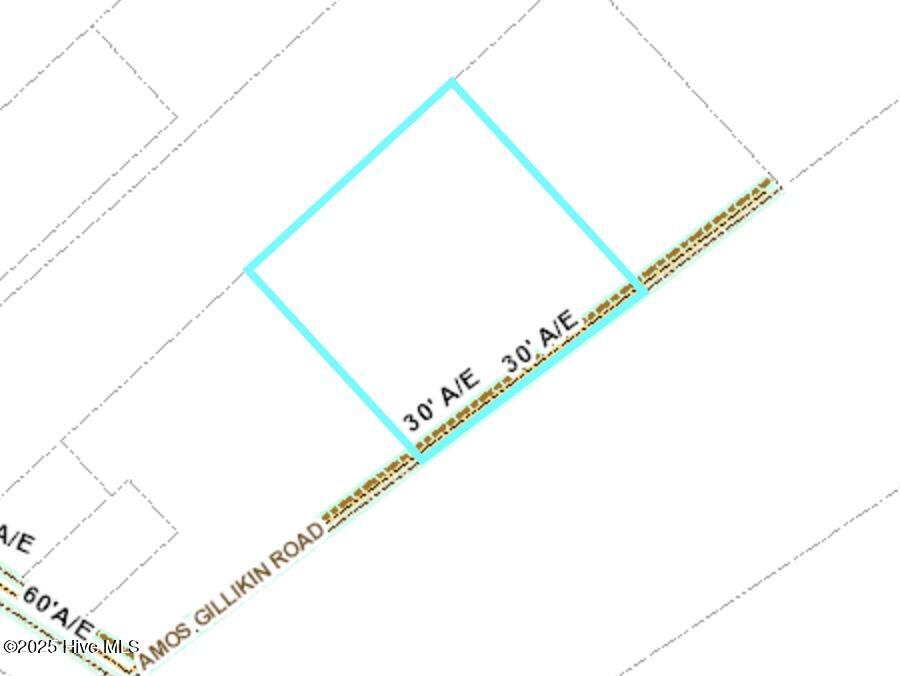 315 Amos Gillikin Road Property Photo 2