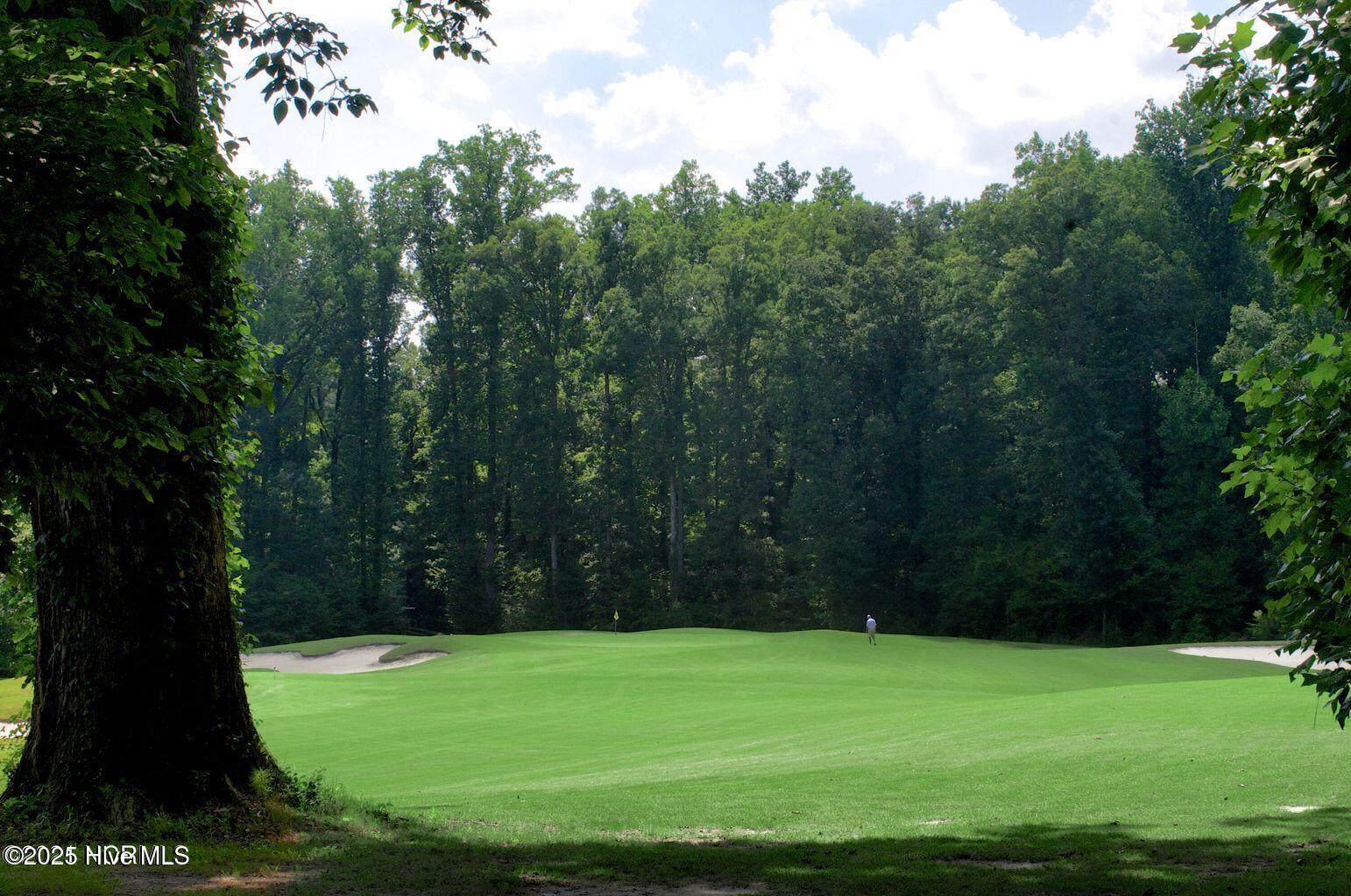660 Chimney Hill Way Property Photo 4