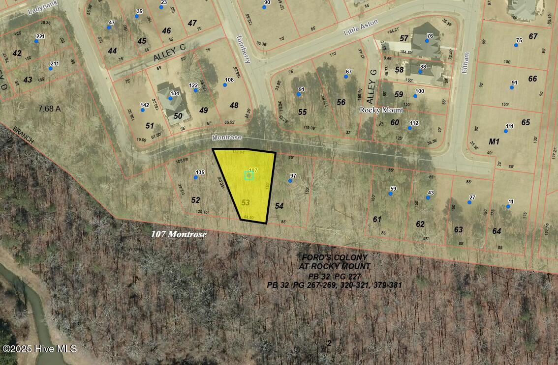107 Montrose Property Photo 1