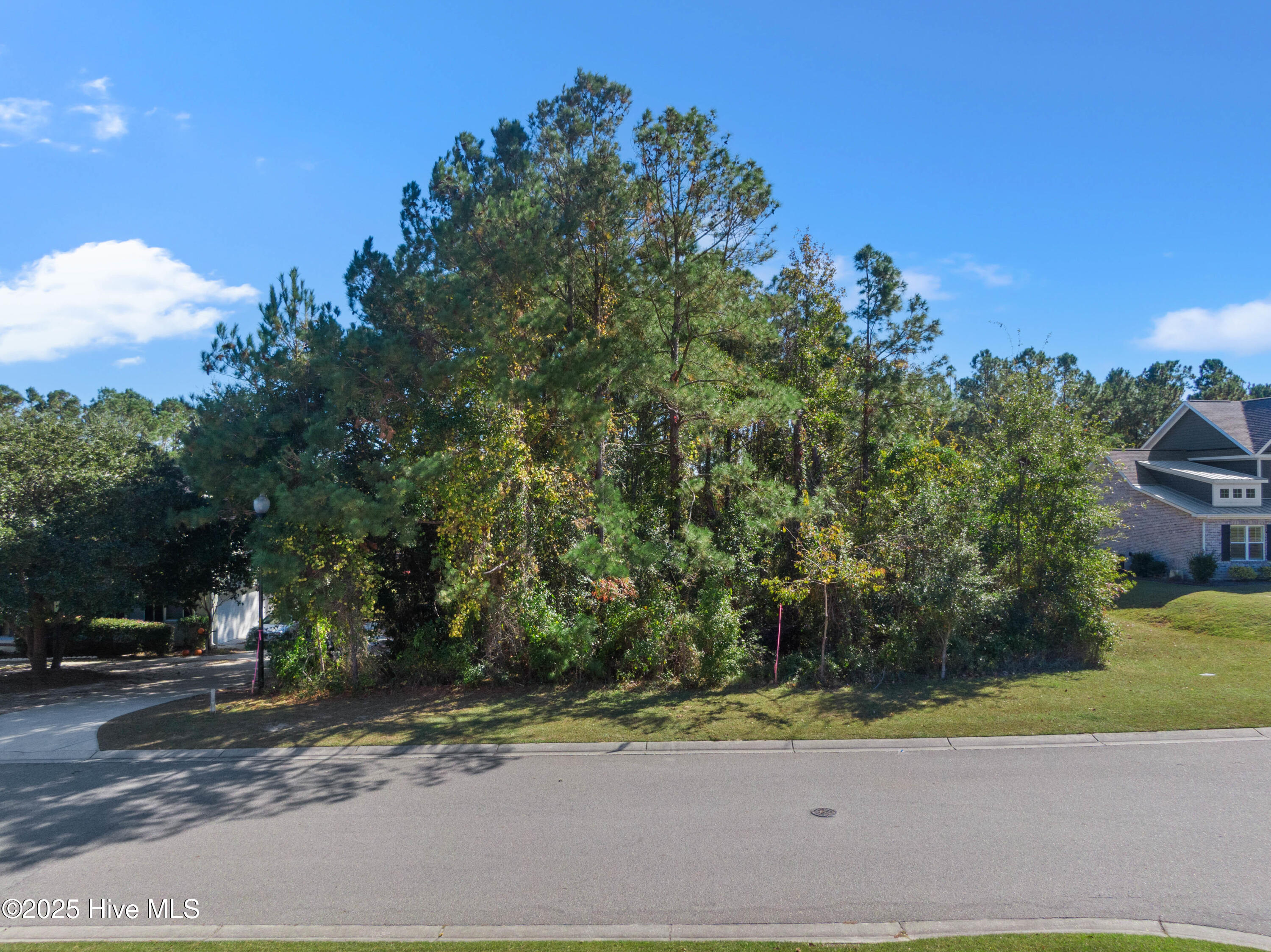 106 Summerset Landing Property Photo 6