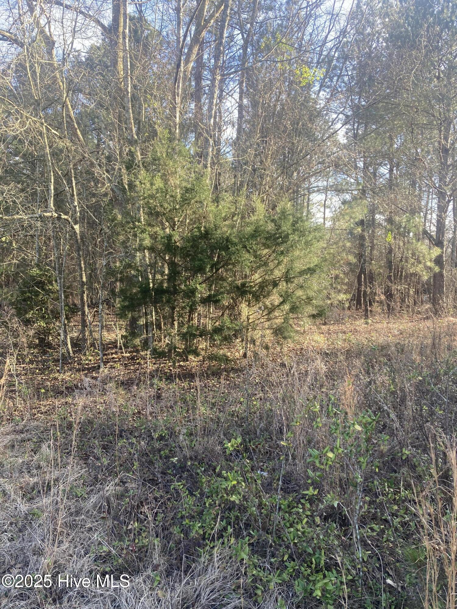 Tbd Camp Monroe Road Property Photo