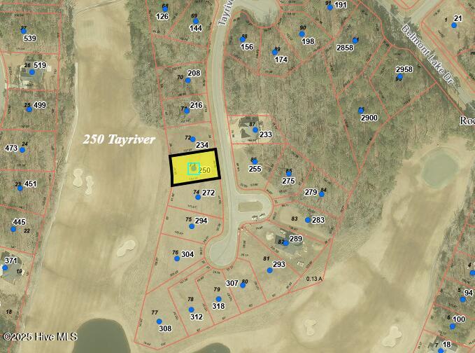 250 Tayriver Property Photo 1