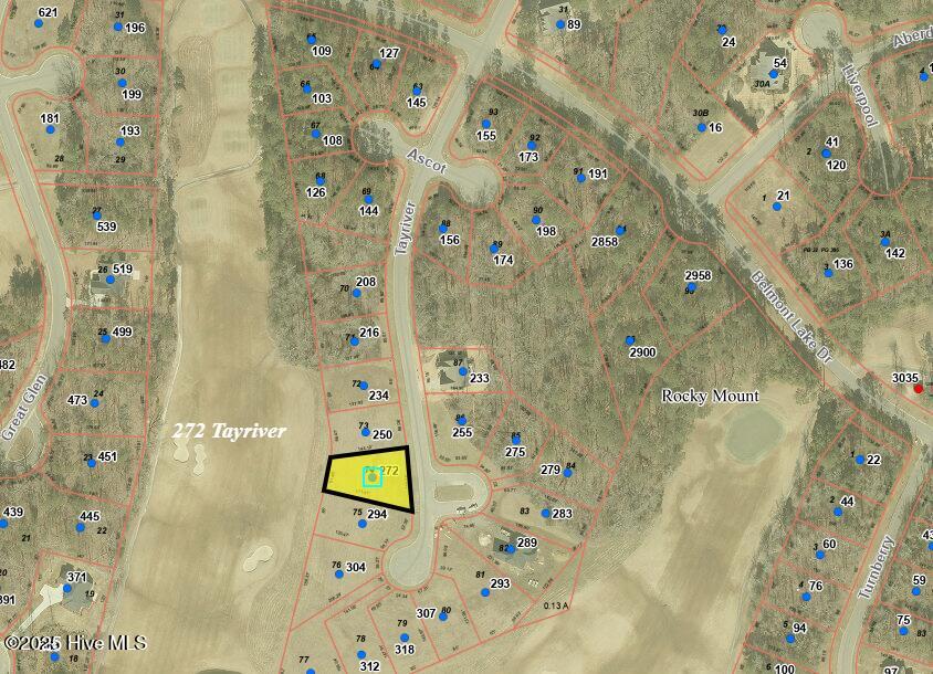 272 Tayriver Property Photo 1