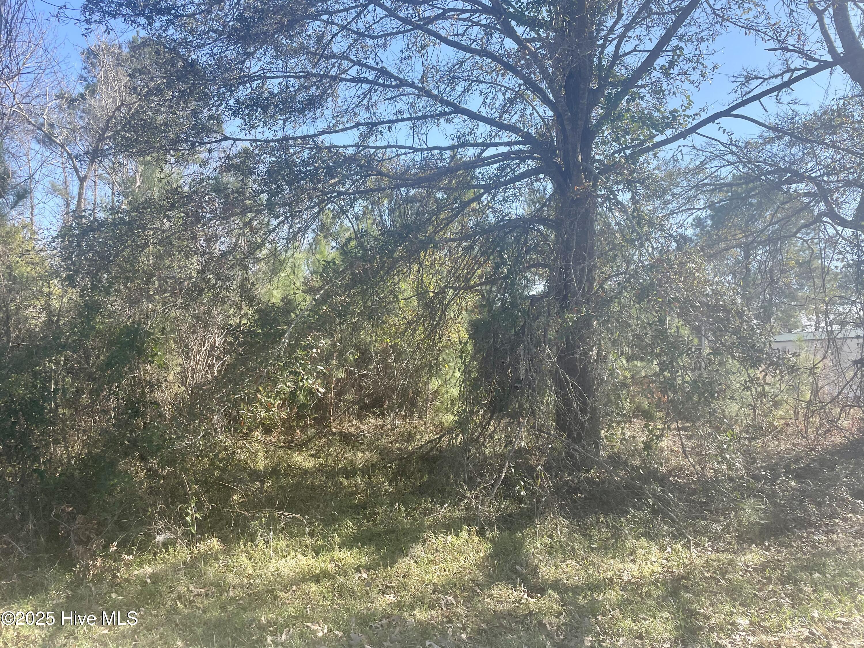 1778 Little Shallotte River Drive Property Photo