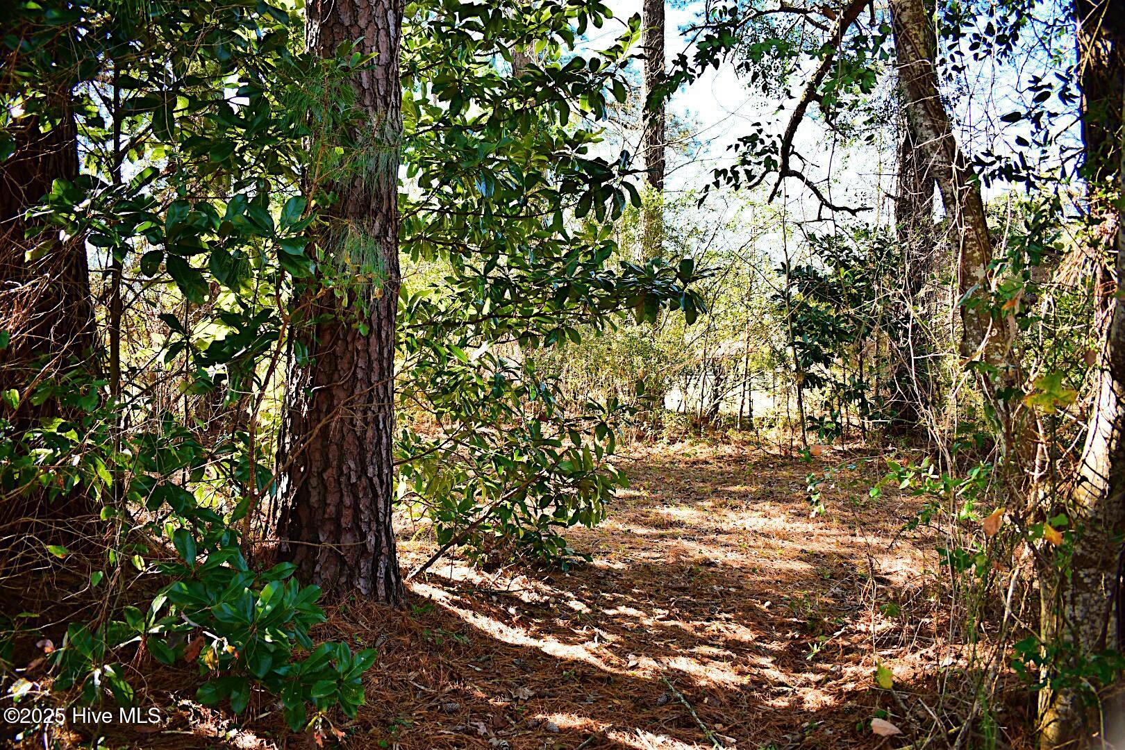 331 Mill Road Property Photo 5
