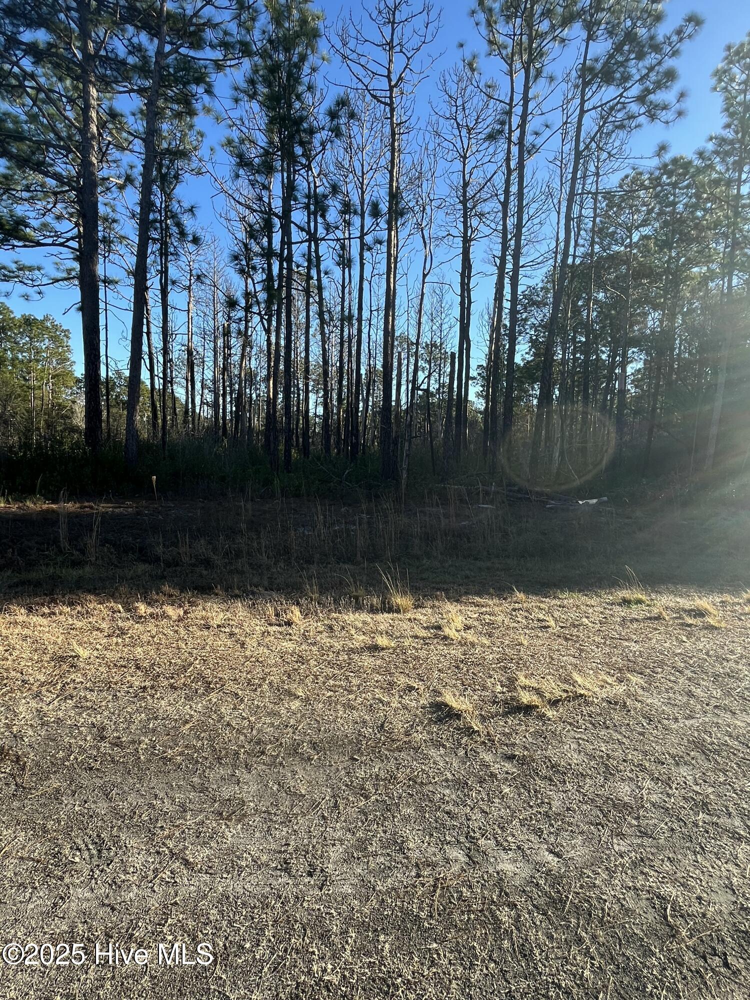 00 Pee Dee Rd Property Photo
