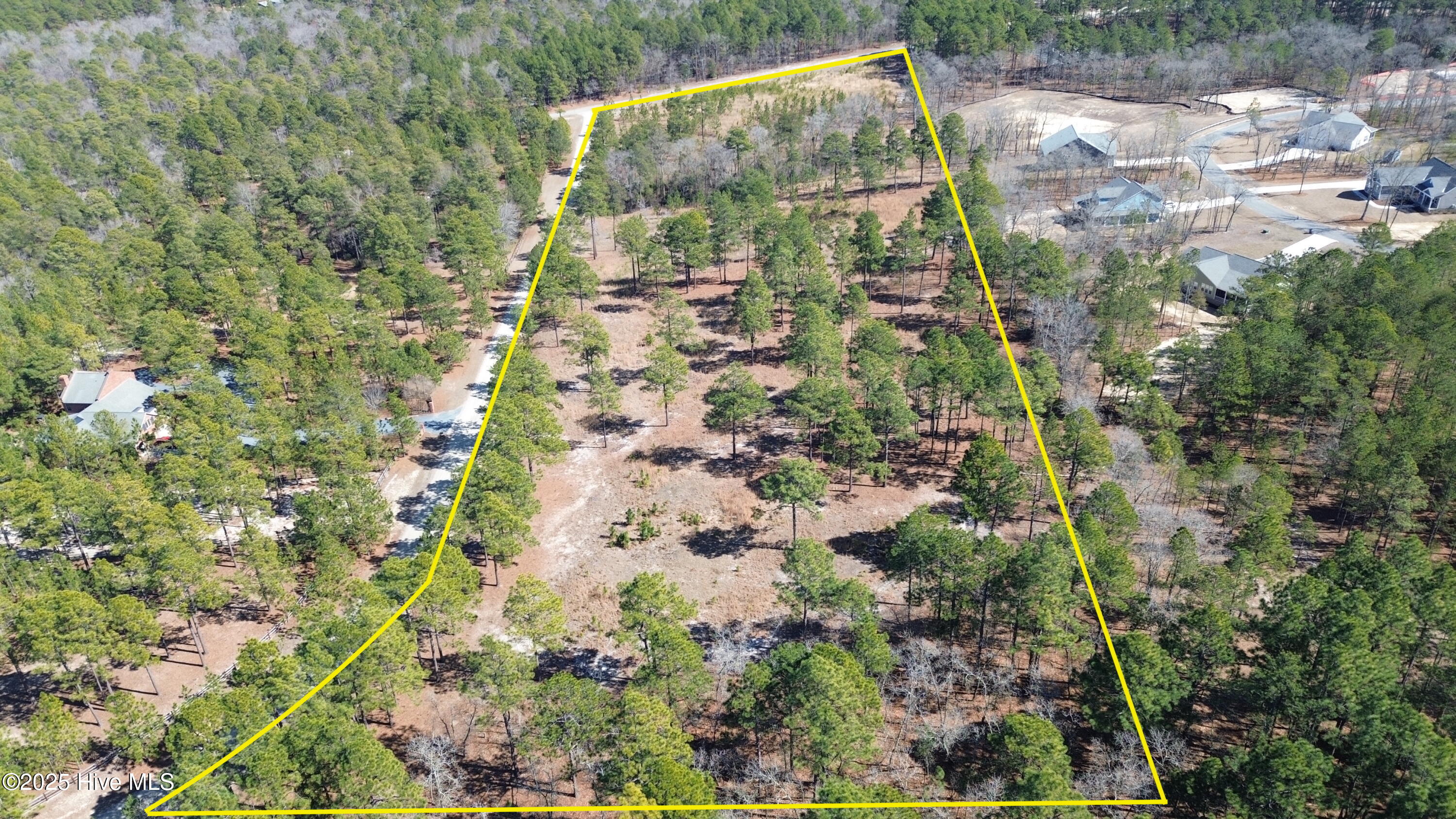 Tbd Forest Ridge Lane Property Photo 2