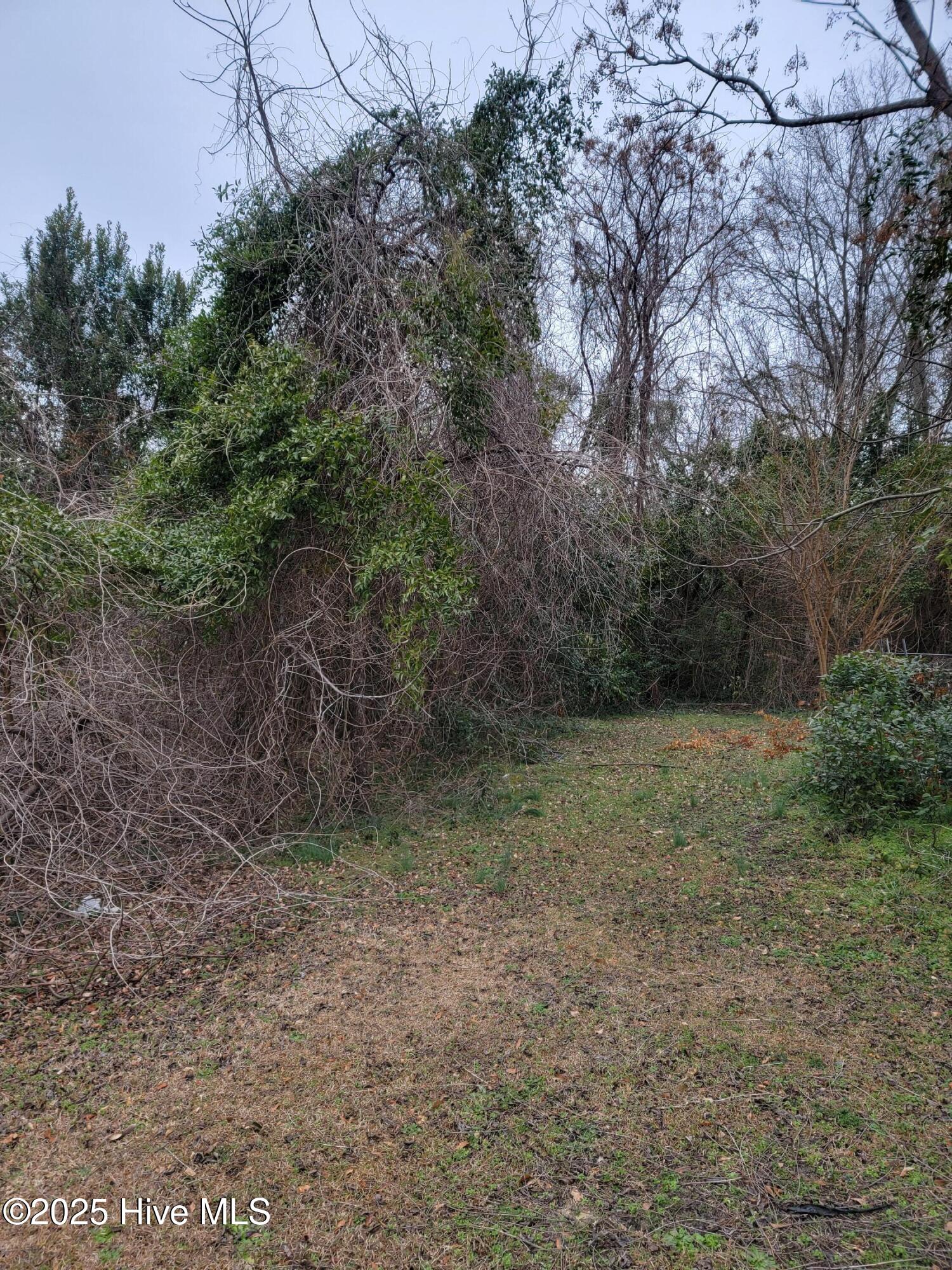 1025 W Massachusetts Avenue Property Photo