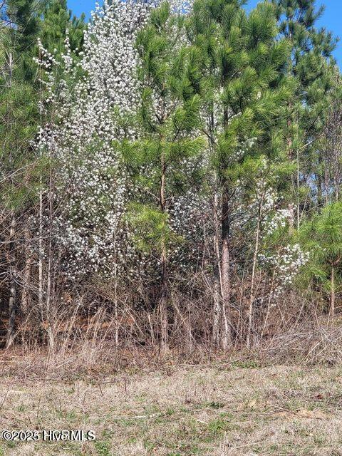 Lot 3 Momeyer Way Property Photo 2