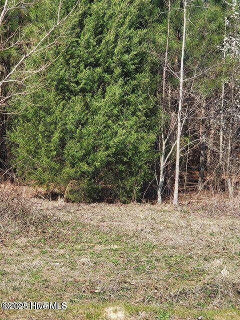 Lot 3 Momeyer Way Property Photo 4