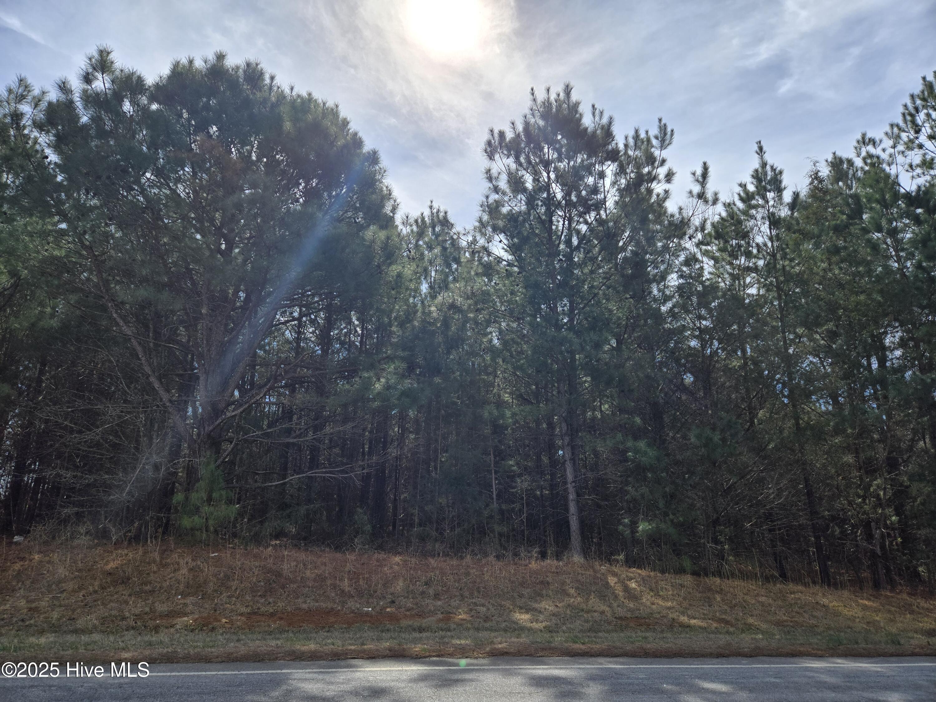Lot 3 Momeyer Way Property Photo 5