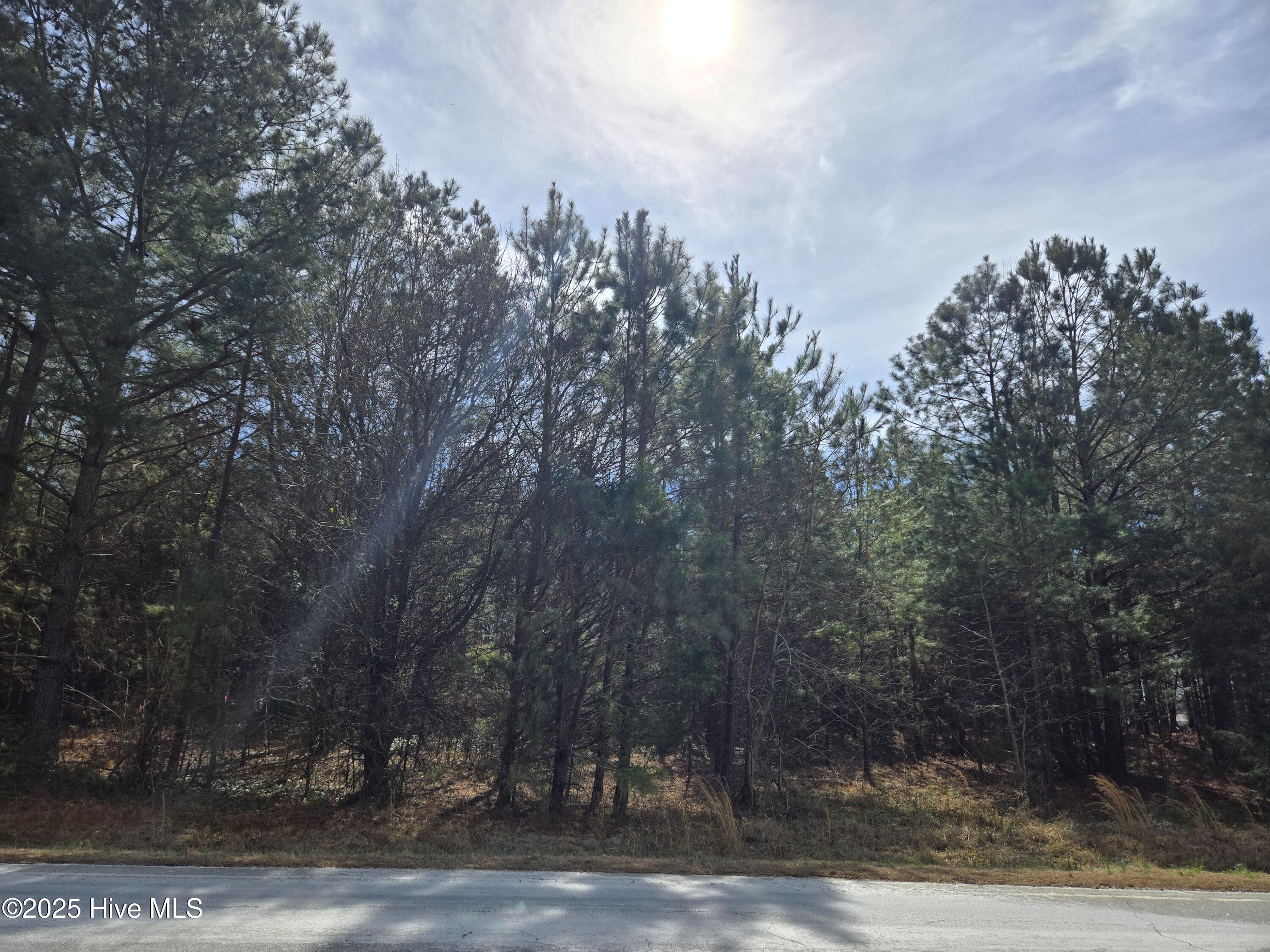 Lot 2 Momeyer Way Property Photo 4