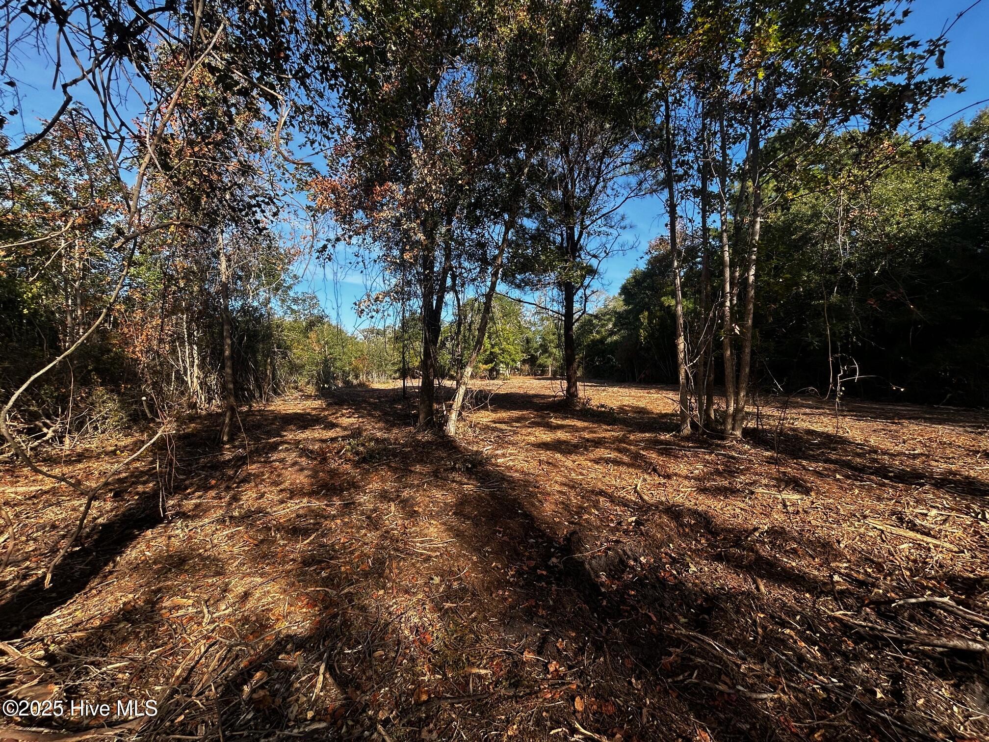 110 7 Brandon Avenue Property Photo 5