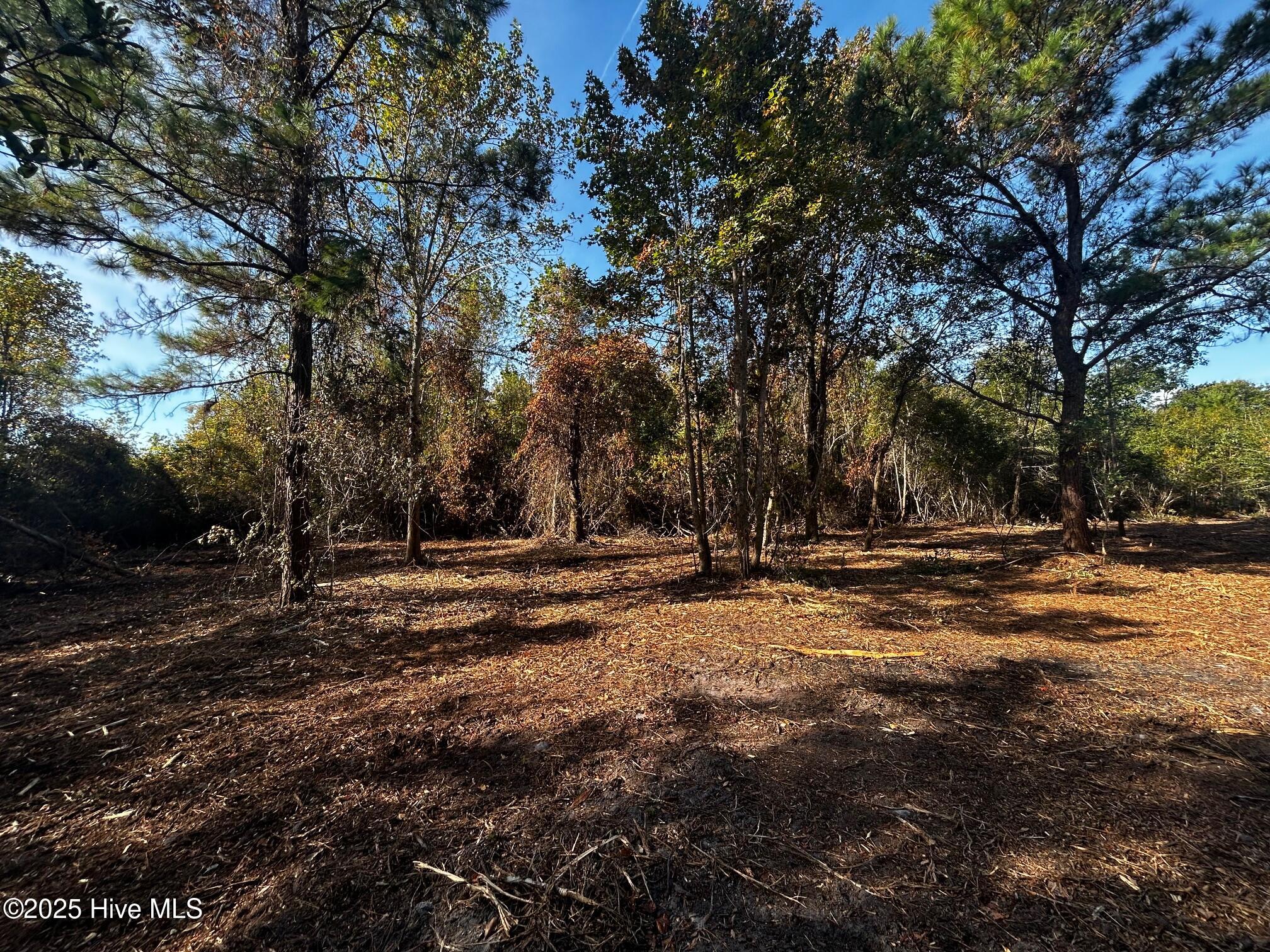 110 7 Brandon Avenue Property Photo 6