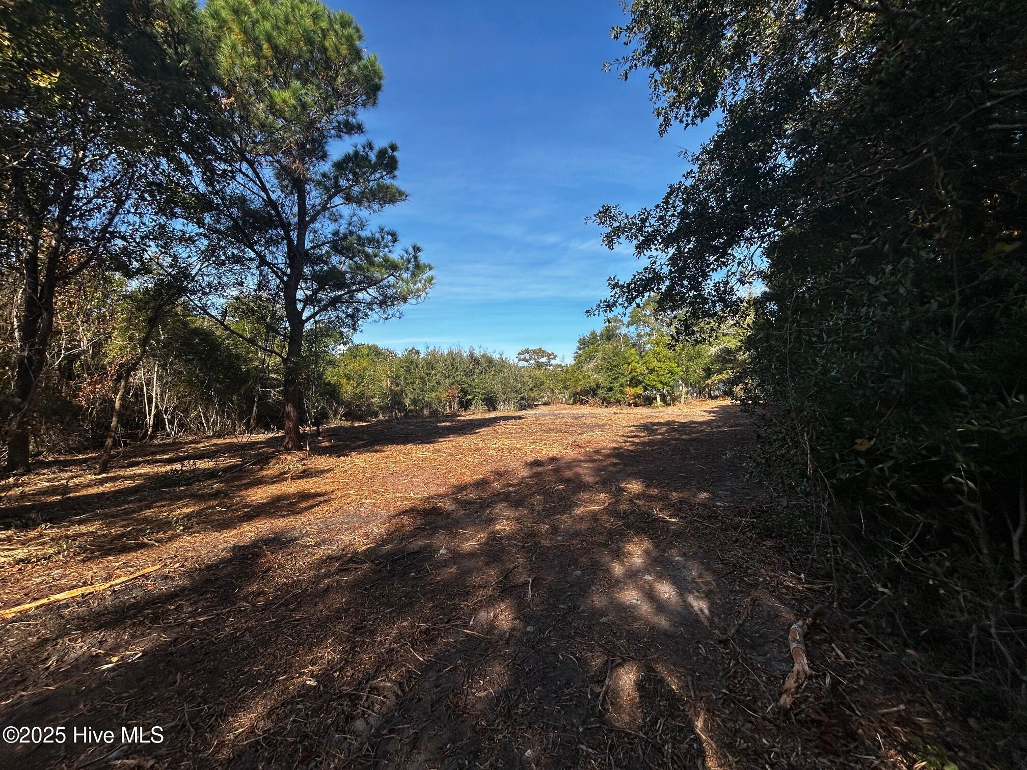 110 7 Brandon Avenue Property Photo 7