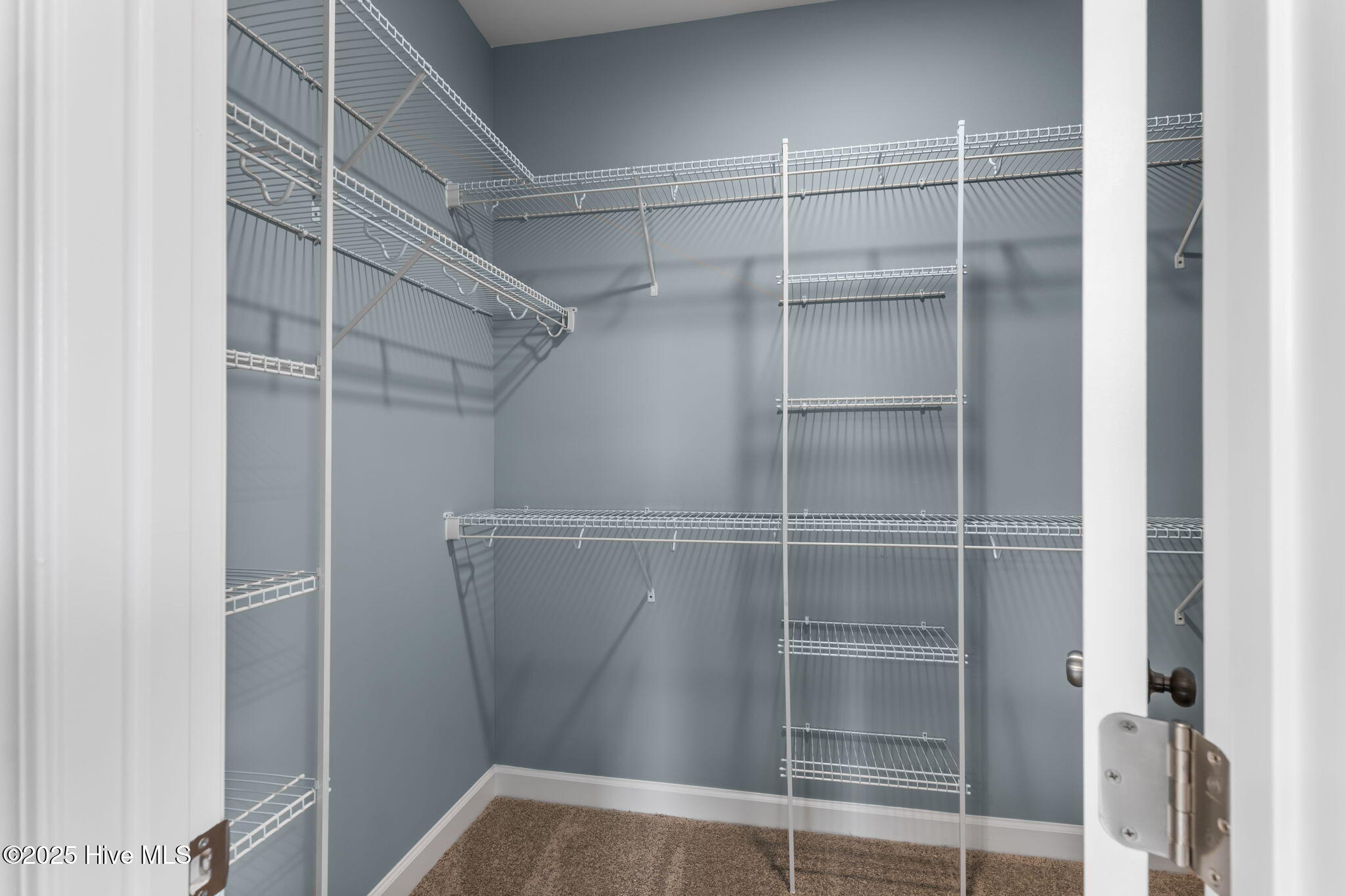 212 Dunbar Hill Drive Property Photo 23
