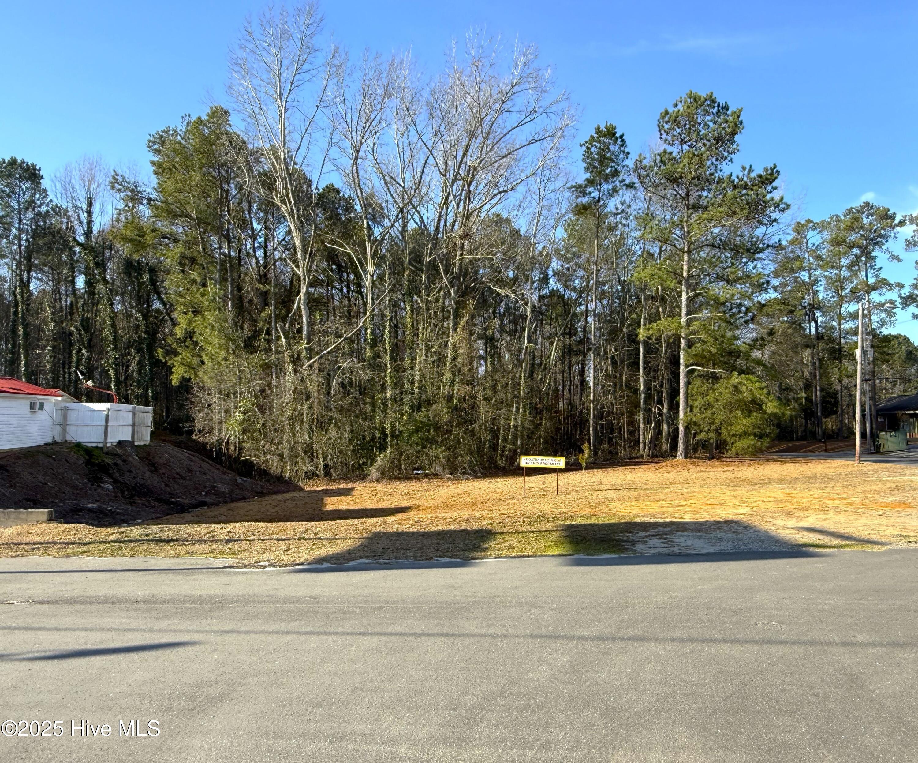 802 E Broad Avenue Property Photo 3
