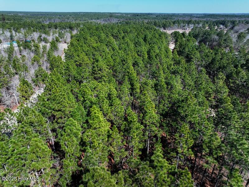 Tbd Boondocks Road Property Photo 3