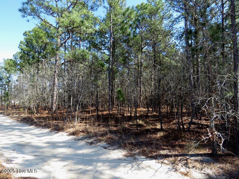 Tbd Boondocks Road Property Photo 11