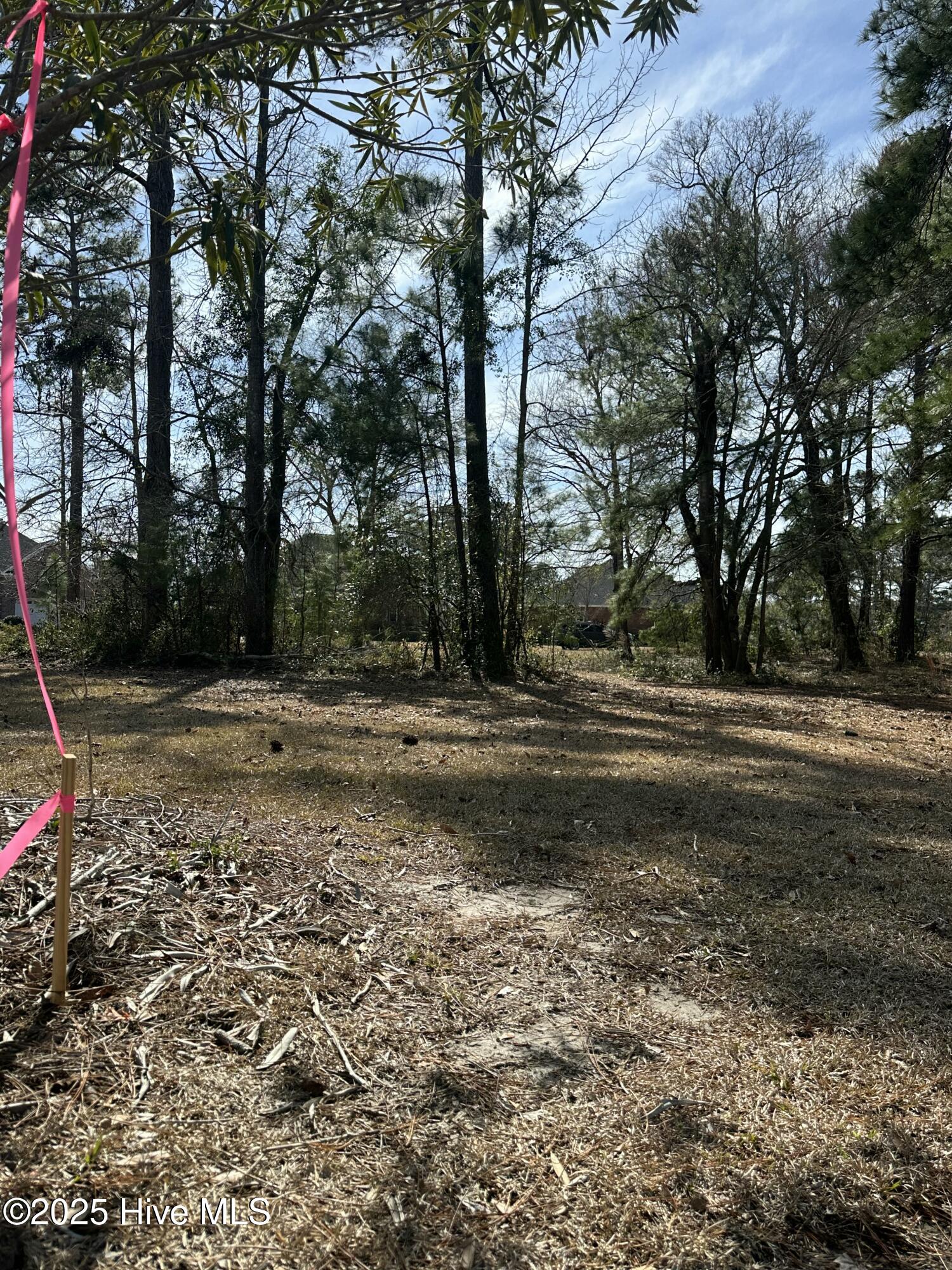 555 Blakely Court Property Photo 4