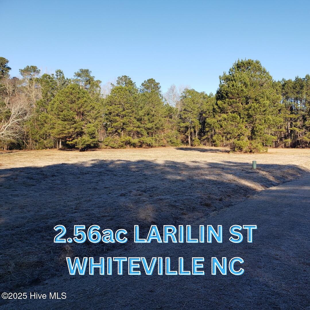 2.56ac Larilin Street Property Photo