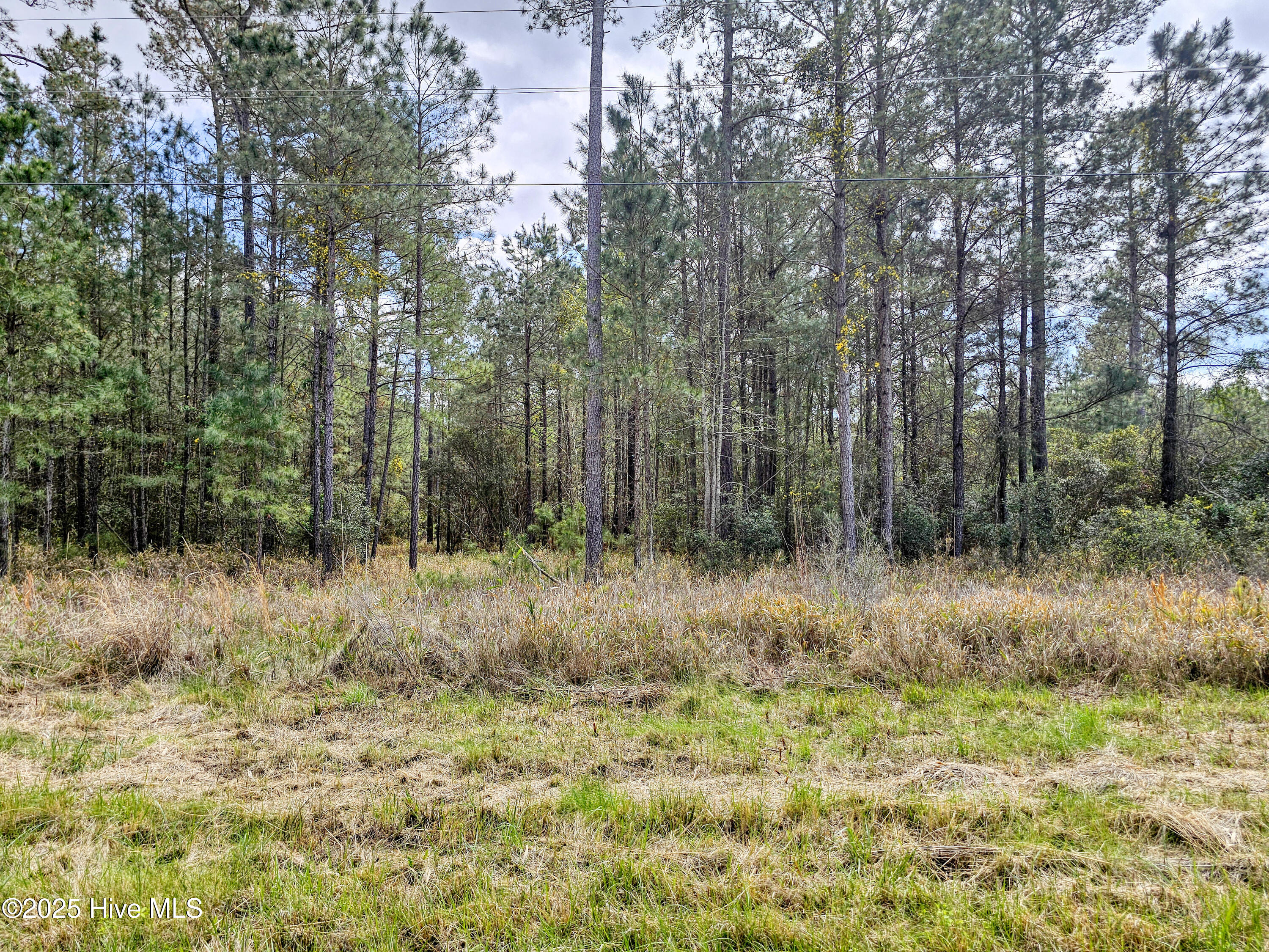 20 Sandy Point Road Property Photo 5
