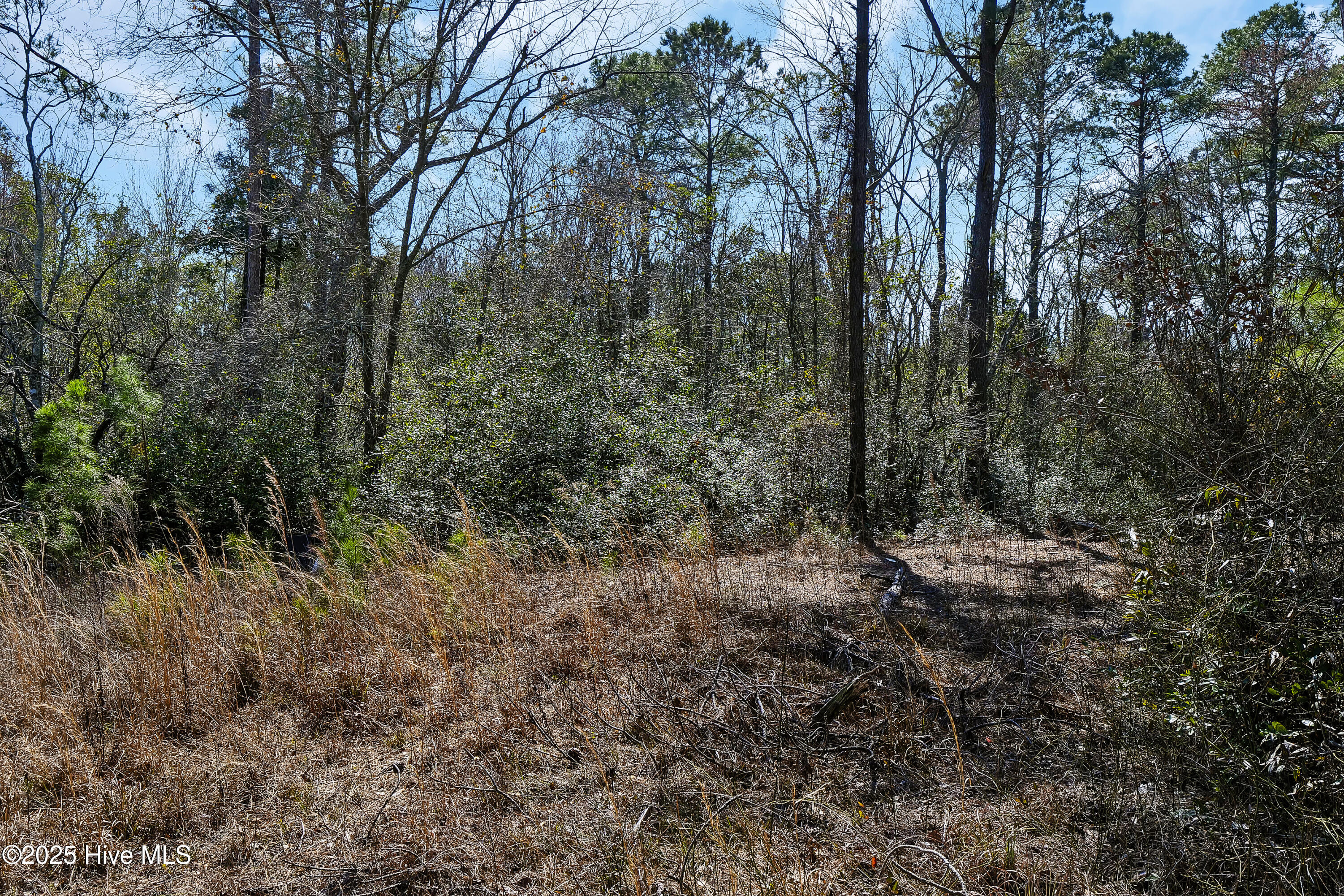 L4 Brown Heritage Road Property Photo 14