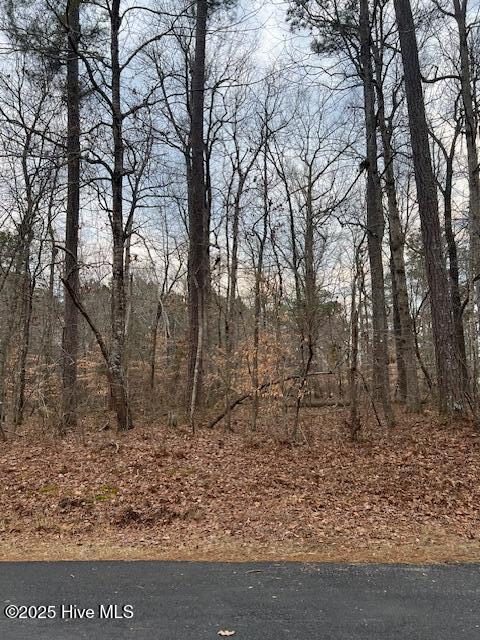 0 Dogwood Dr. Property Photo