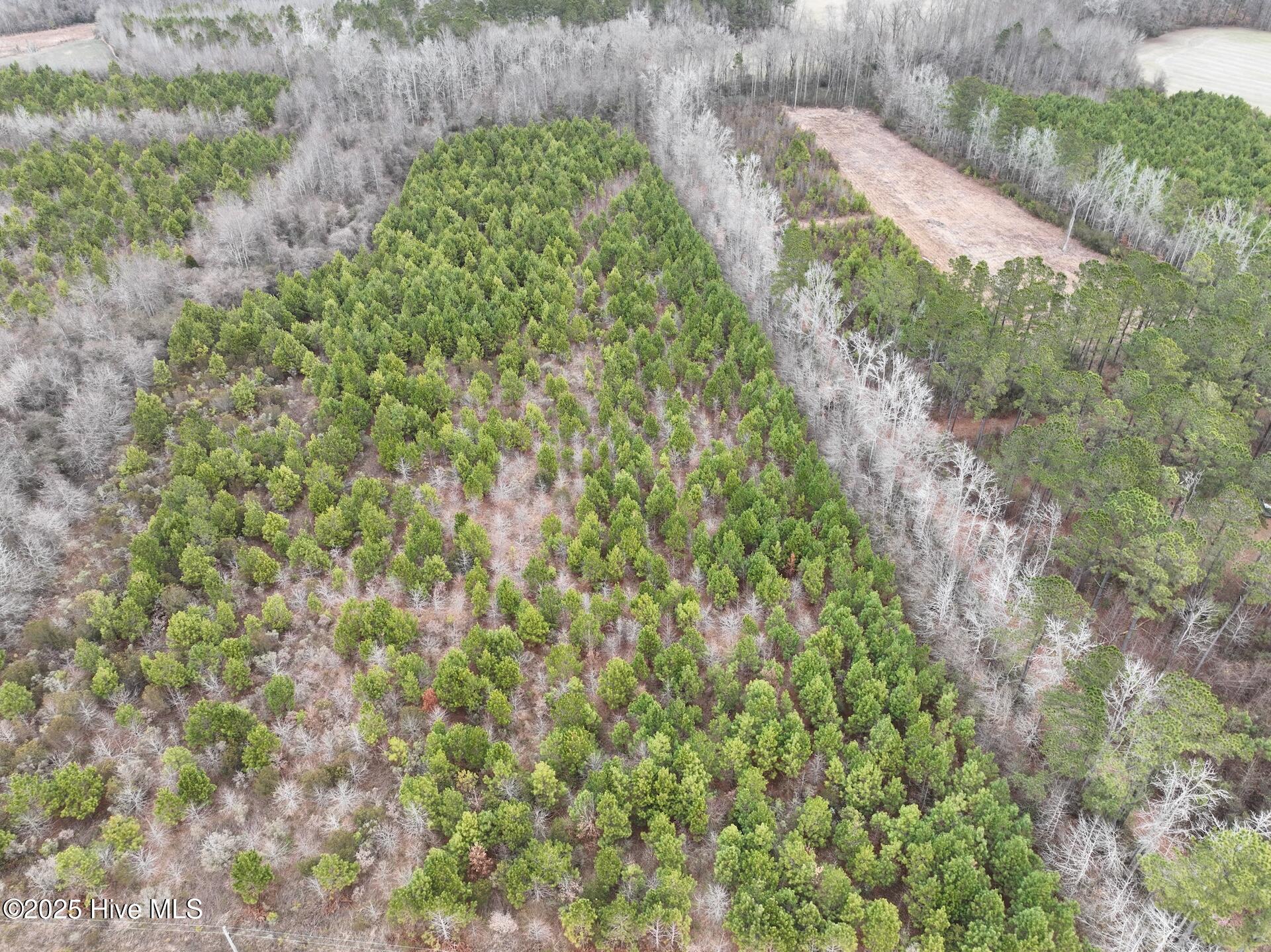 0 Creek Road Property Photo