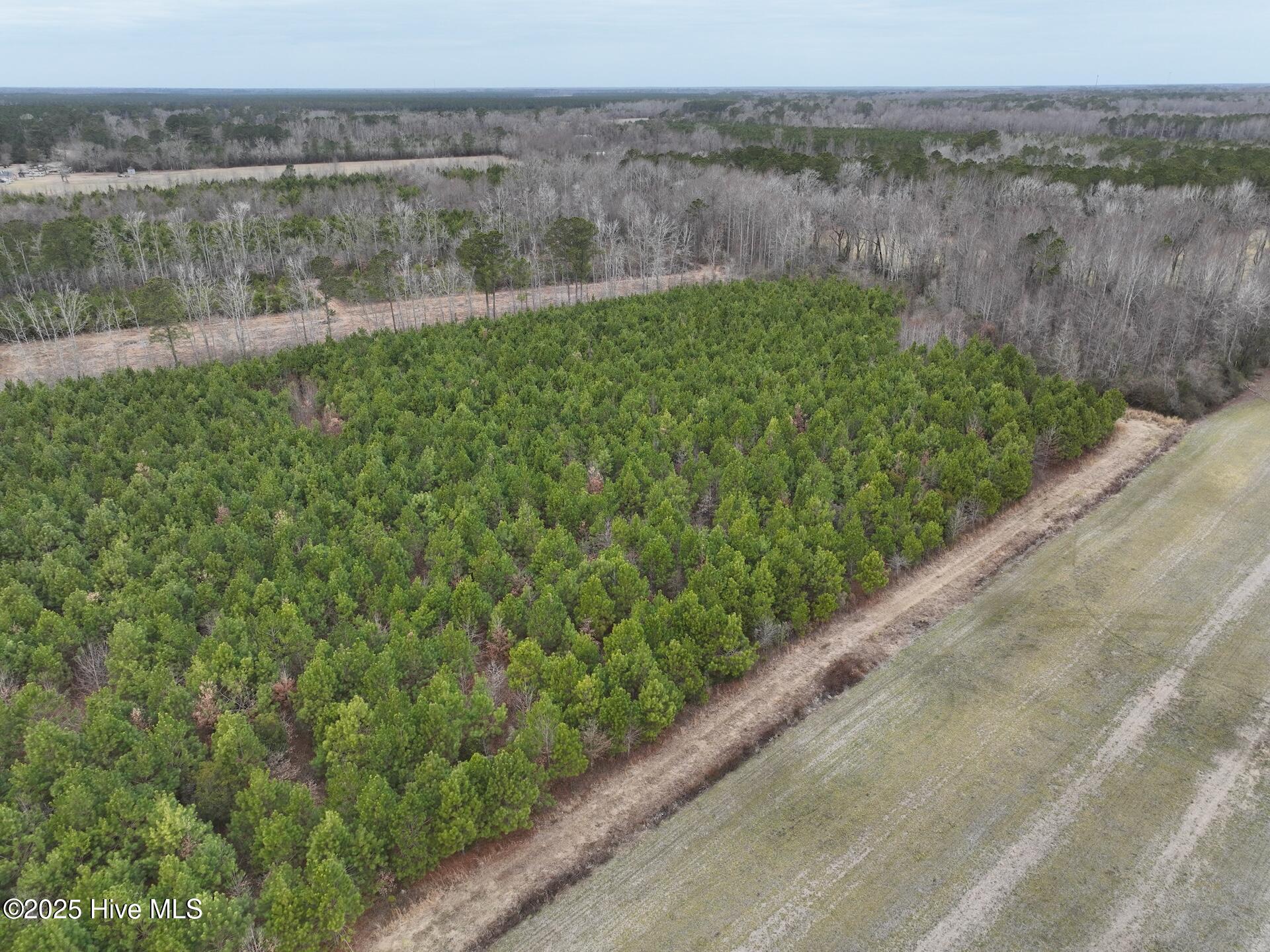 0 Creek Road Property Photo 8