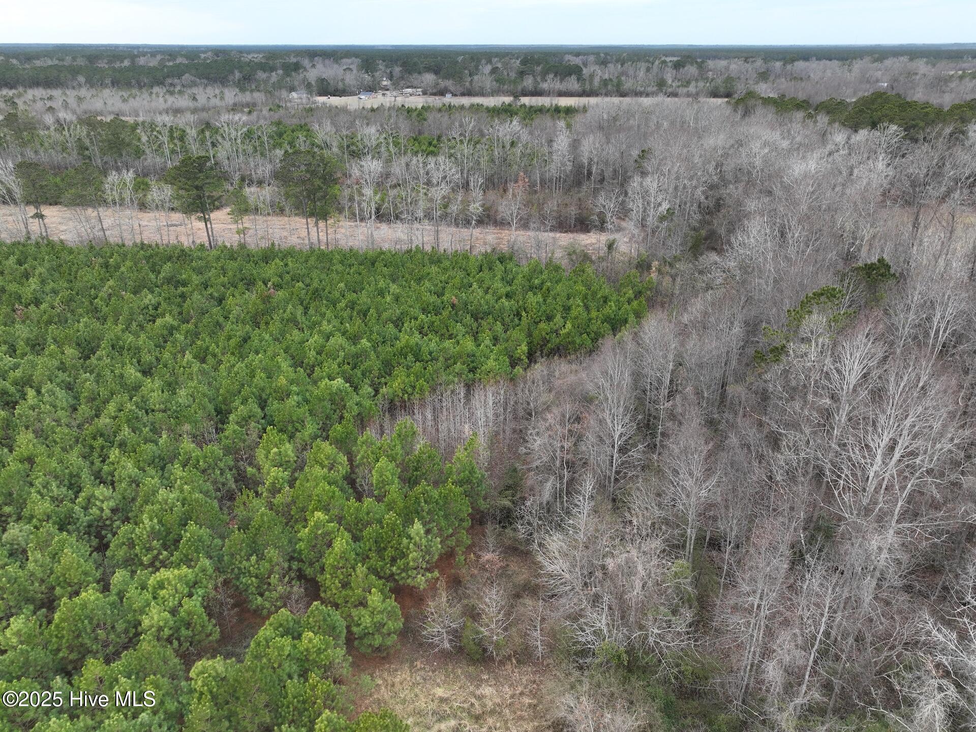 0 Creek Road Property Photo 9