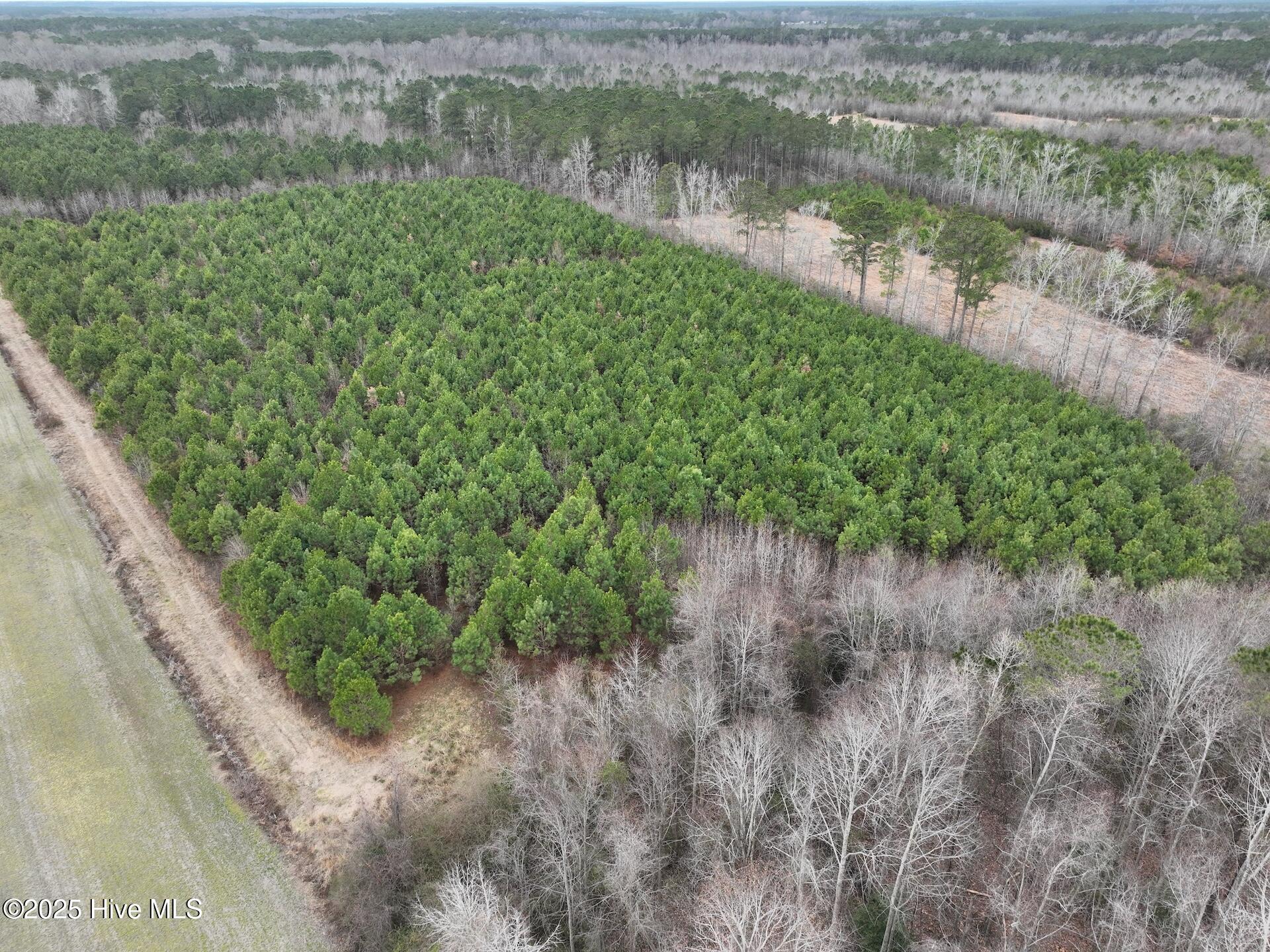 0 Creek Road Property Photo 10