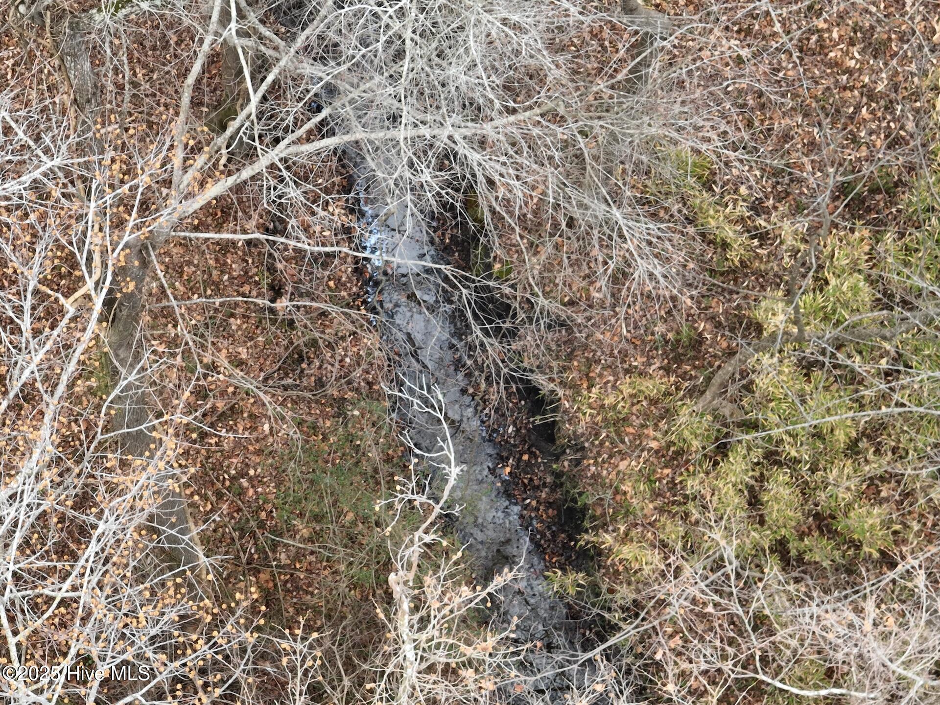 0 Creek Road Property Photo 11