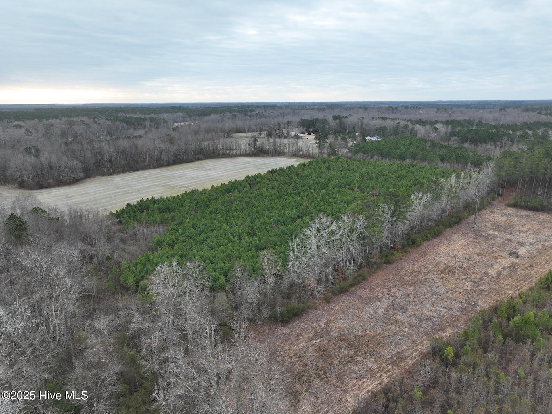 0 Creek Road Property Photo 14