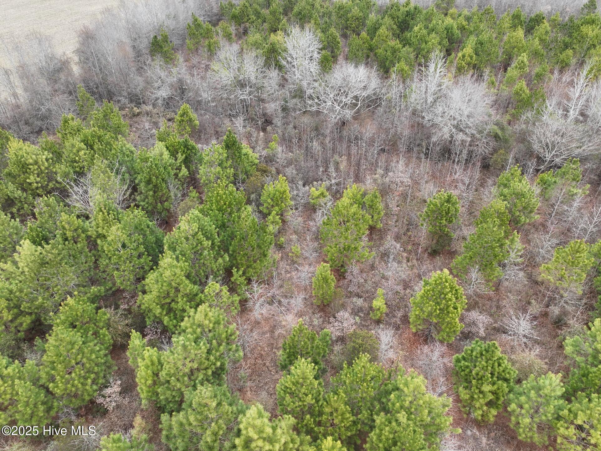 0 Creek Road Property Photo 19